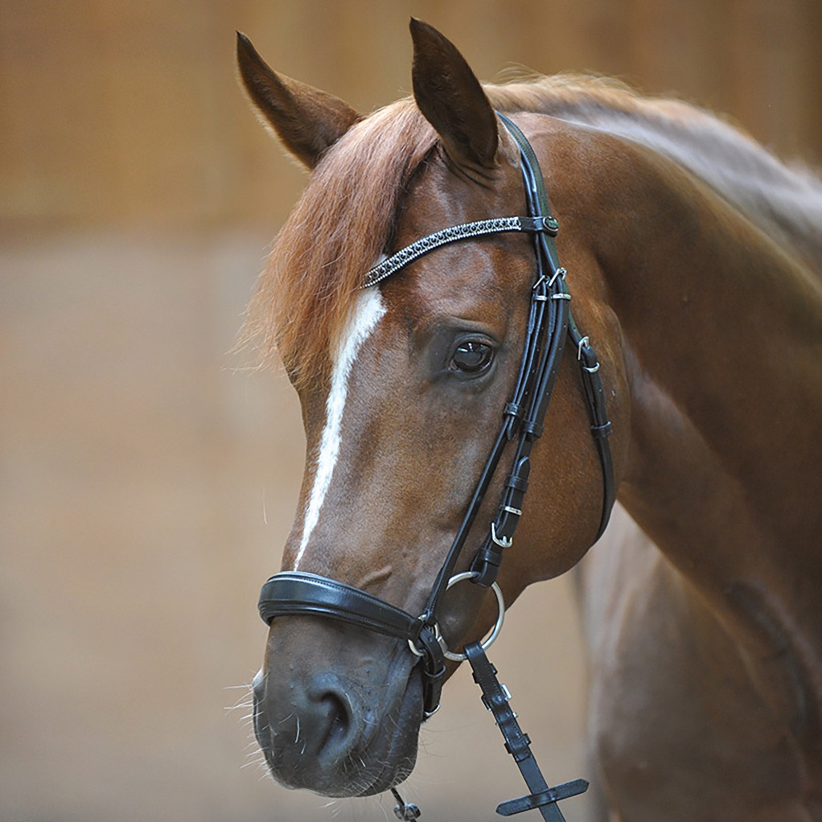 Kavalkade Isabella Bridle with Drop Noseband Bridles & Reins