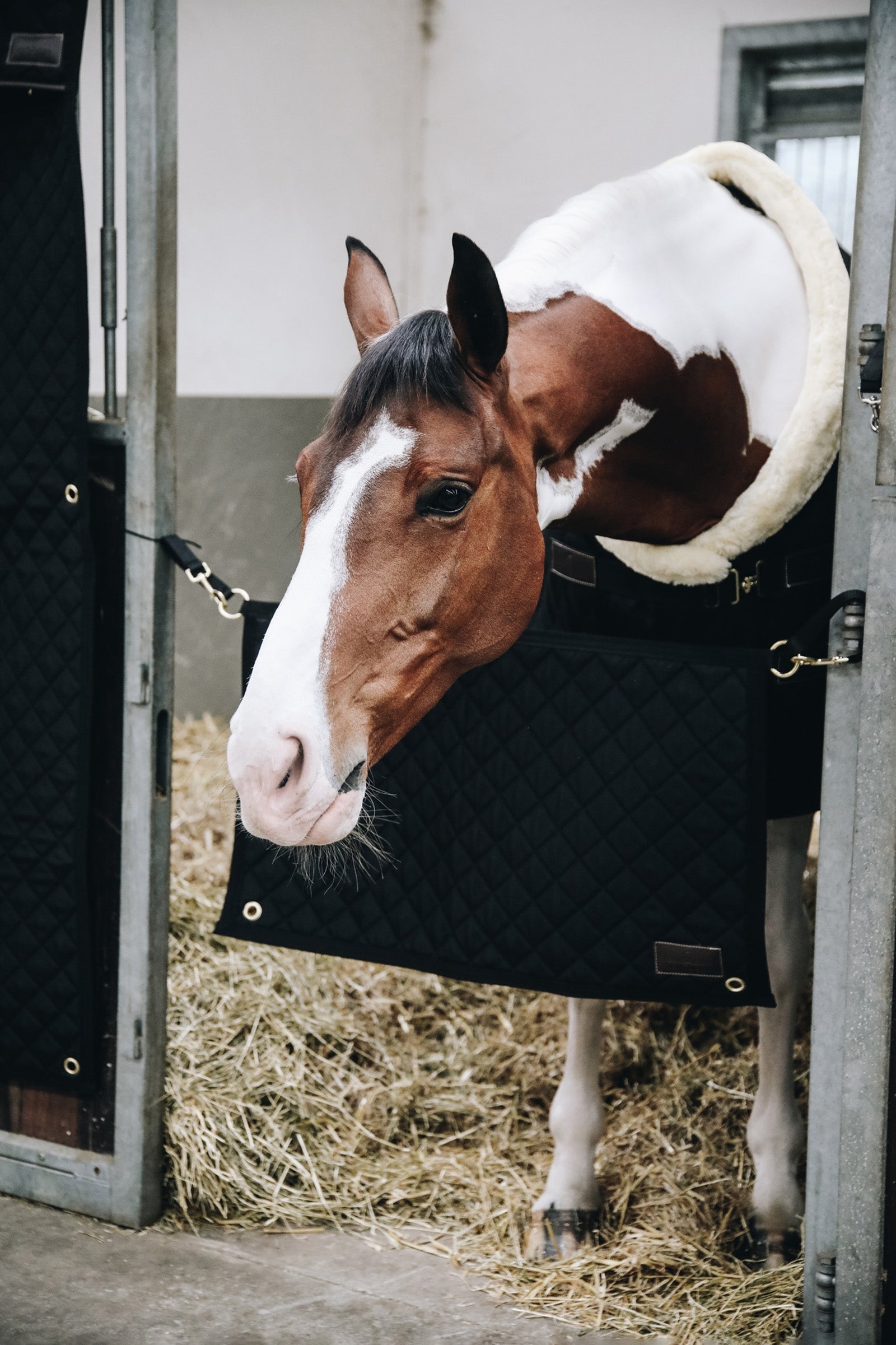 Kentucky Horsewear Stable Guard Stable Equipment