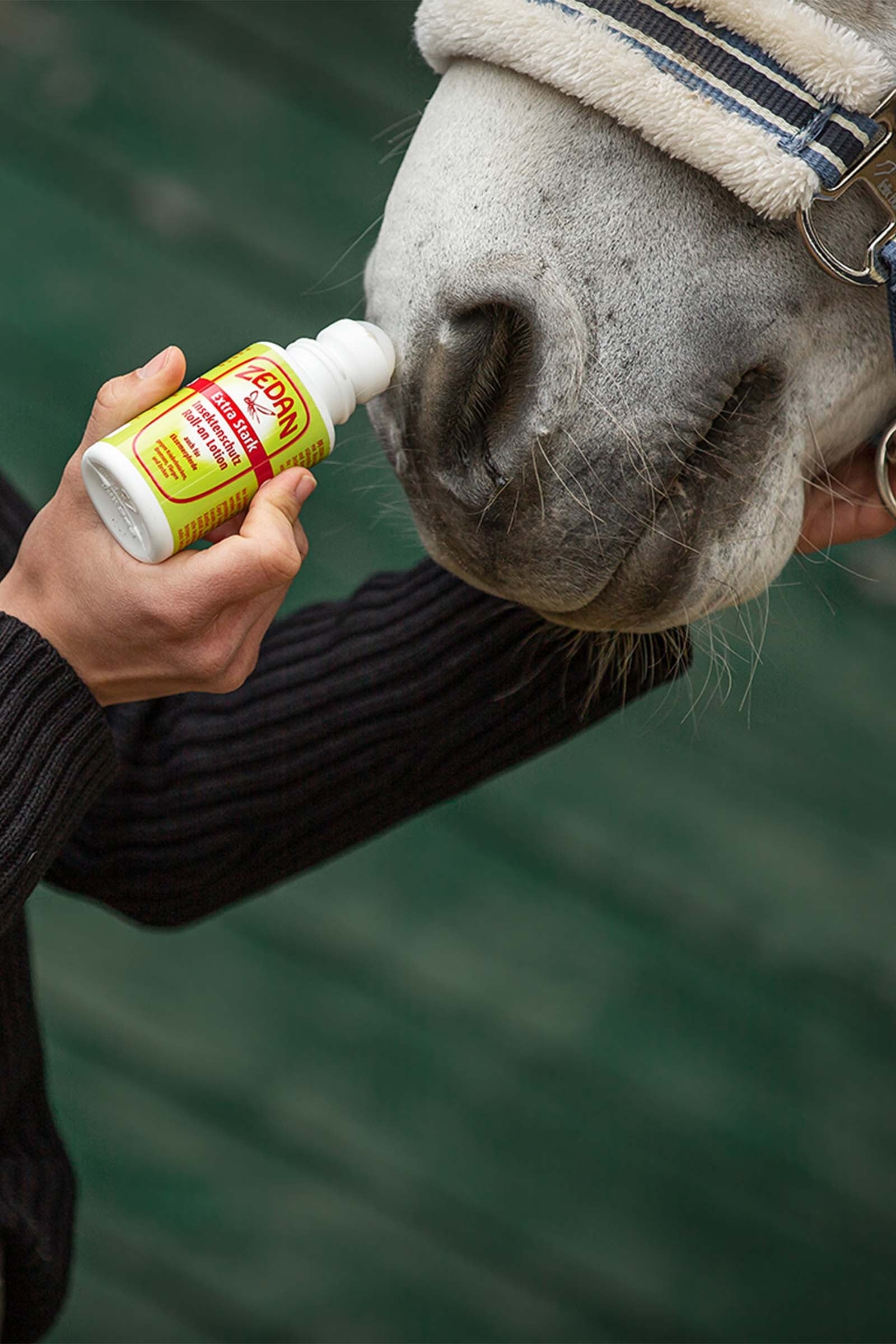 Zedan Sp Extra Strong Insect Protection Roll-on Lotion 75ml Antifly Protection for Horses