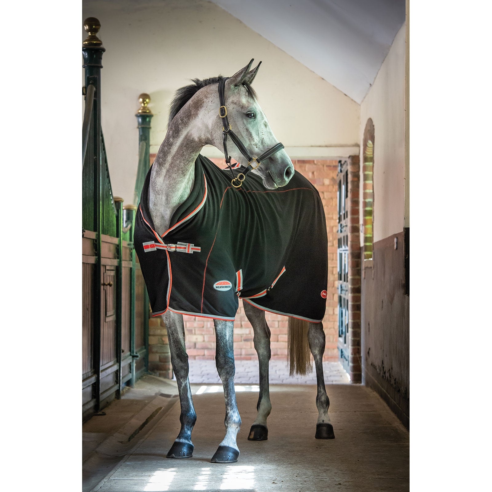 Weatherbeeta Therapy-Tec Decke Standard Neck Pferdedecken