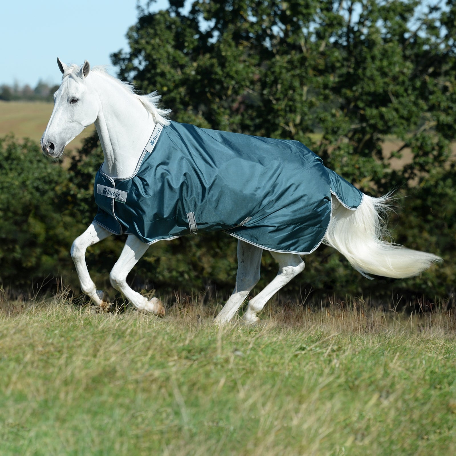 Bucas Atlantic Turnout Rug, 50g Horse Rugs