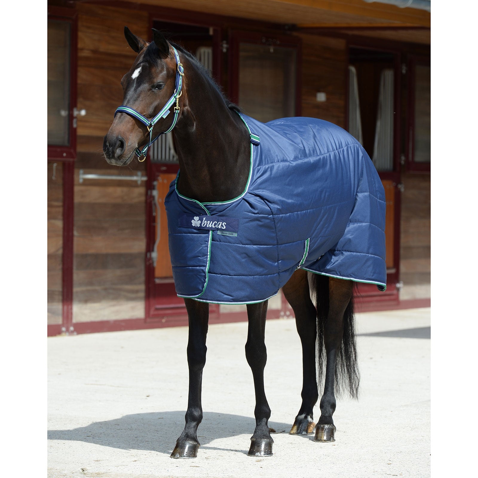 Bucas Quilt SF Unterdecke, 300g Pferdedecken