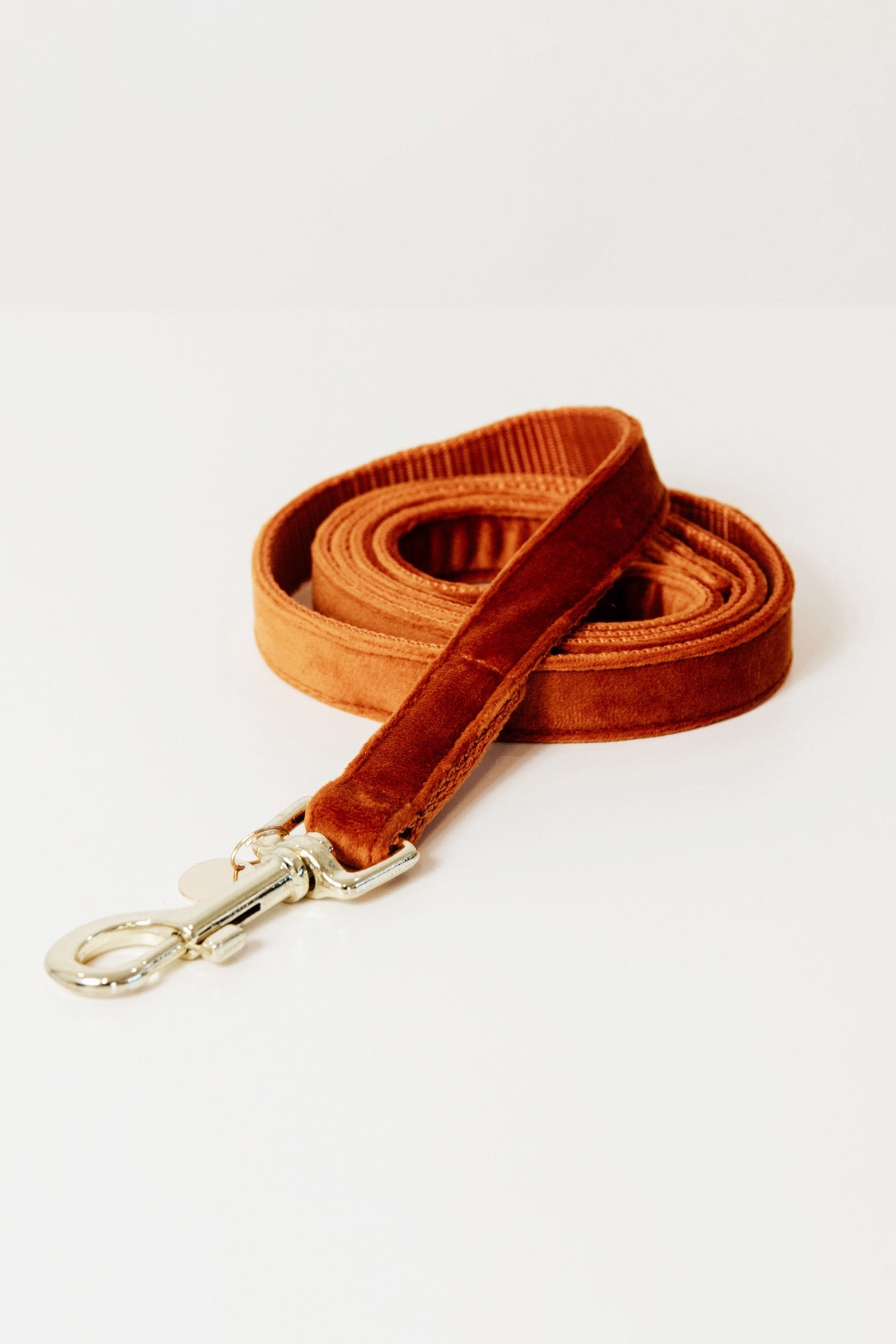 Kentucky Dogwear Hundeleine Velvet Hund