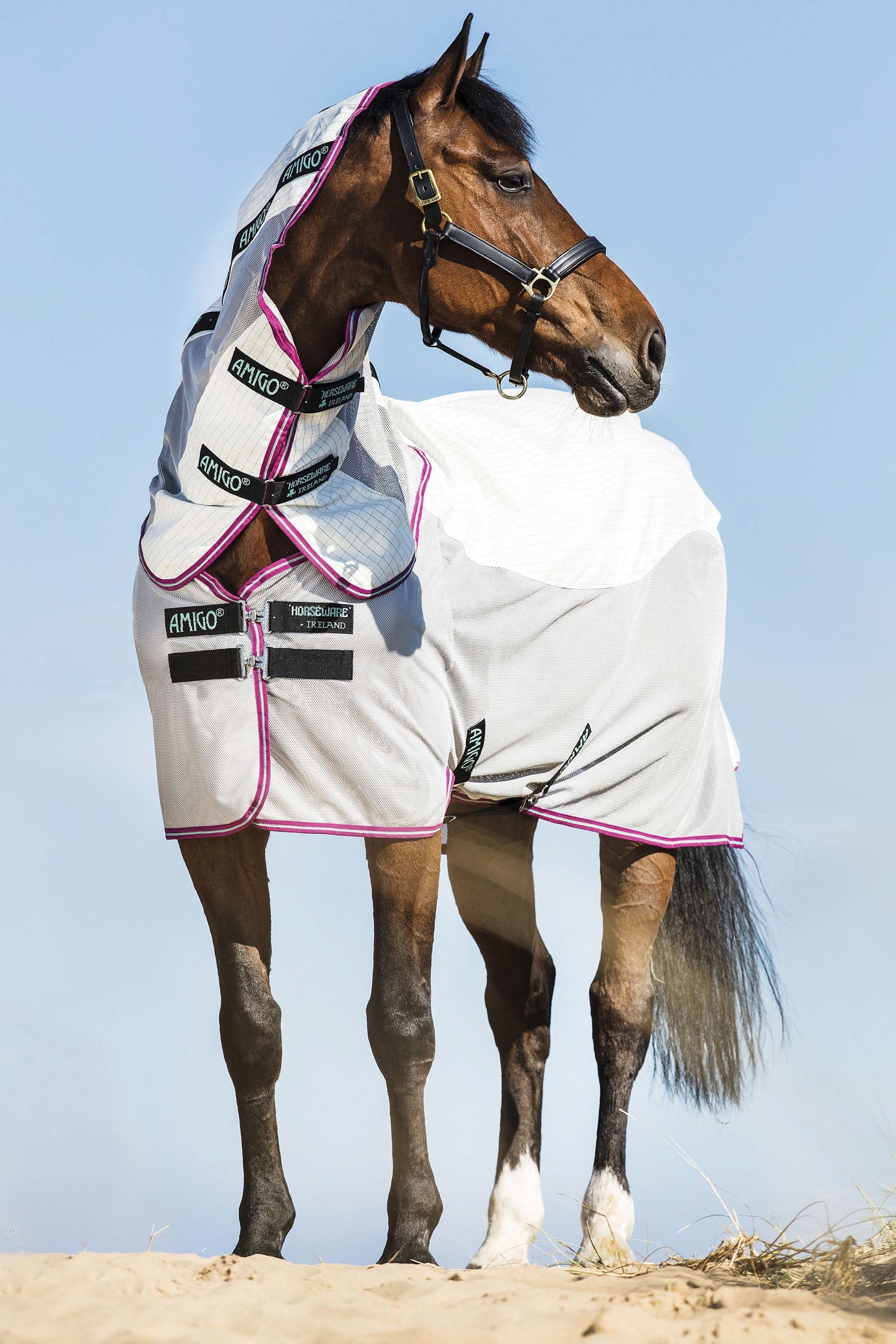 Horseware Amigo Airflow Fliegendecke mit abnehmbarem Halsteil Pferdedecken
