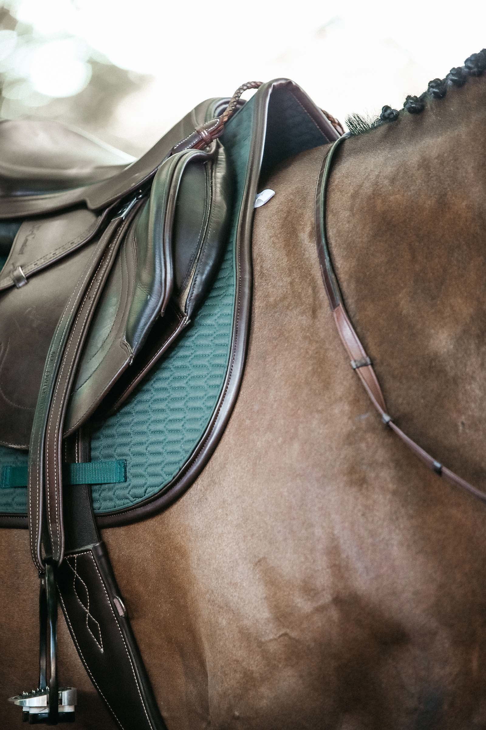 Kentucky Horsewear Saddle Pad Color Edition Leather Jumping Saddle Pads