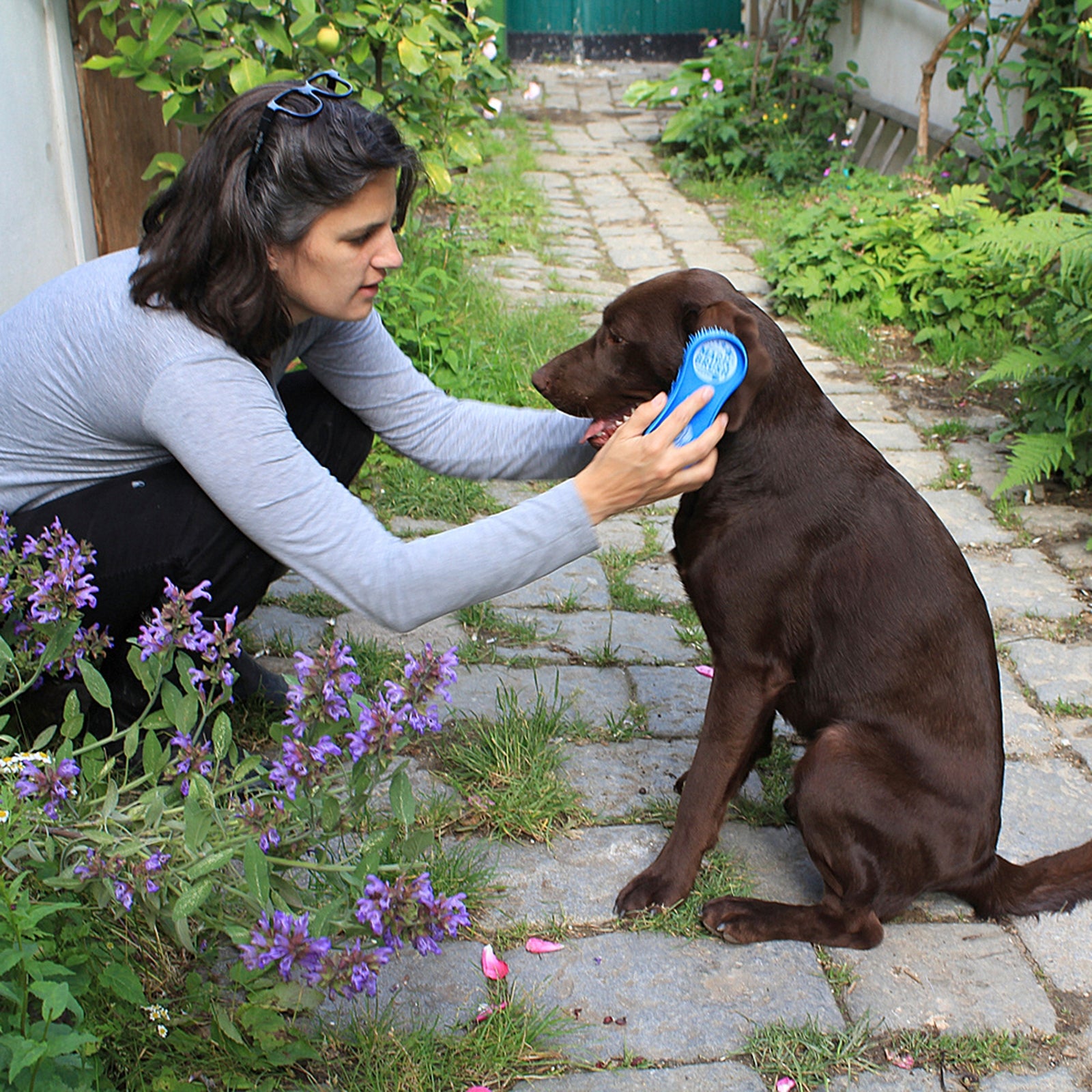 Kerbl Magic Brush Dog Dog Accesories