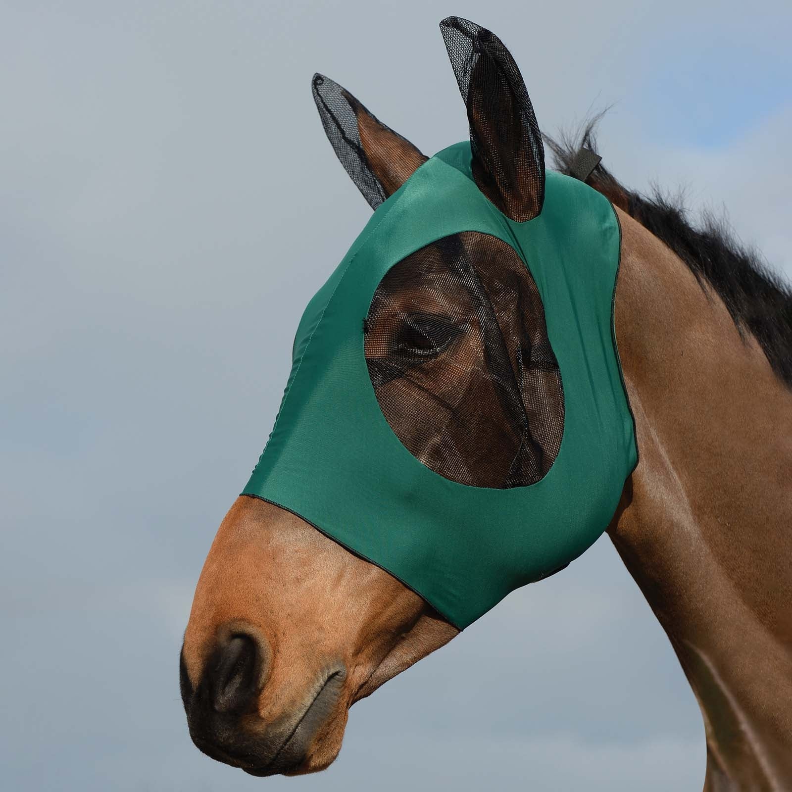 Weatherbeeta Stretch Bug Fliegenmaske mit Ohren Fliegenschutz