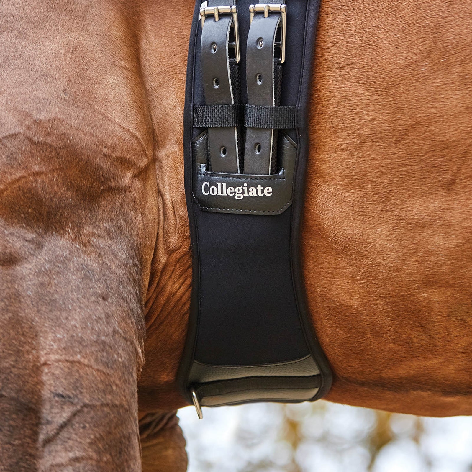 Collegiate Memory Foam Dressage Girth Saddles, Girths & Stirrups