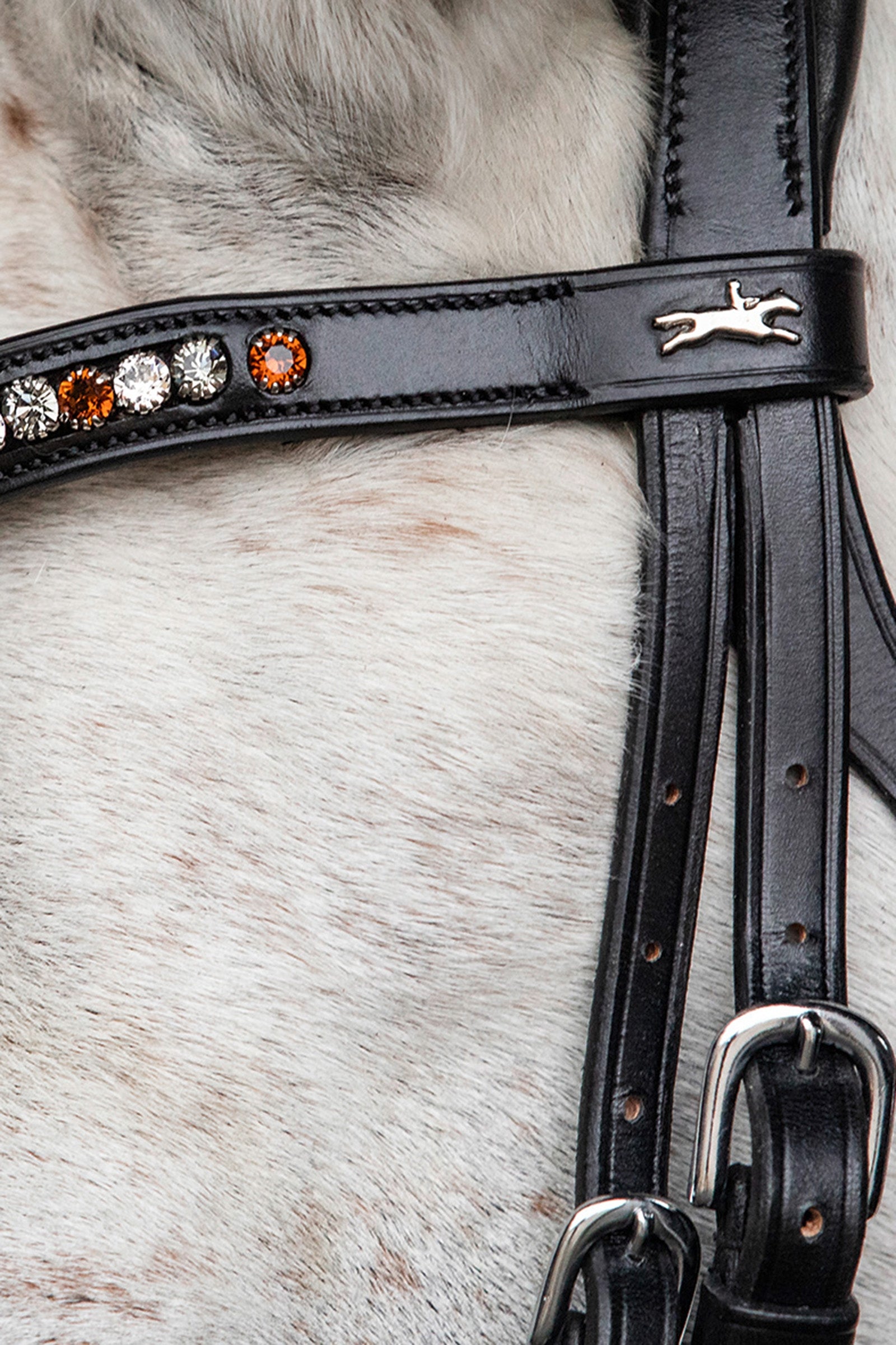 Schockemöhle Sports Diamond Select Browband Bridles & Reins