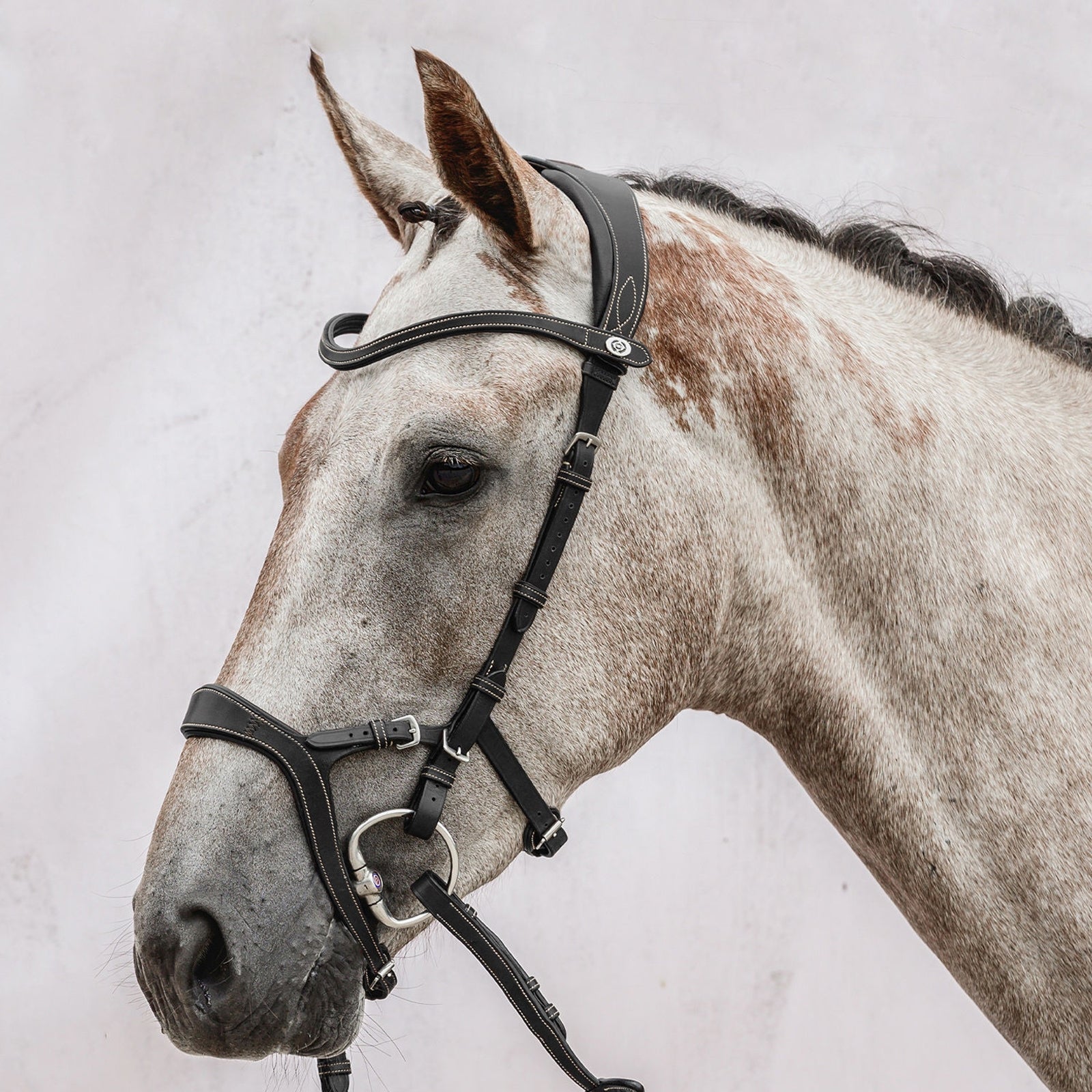 PS of Sweden bridle Nirak Bridles & Reins