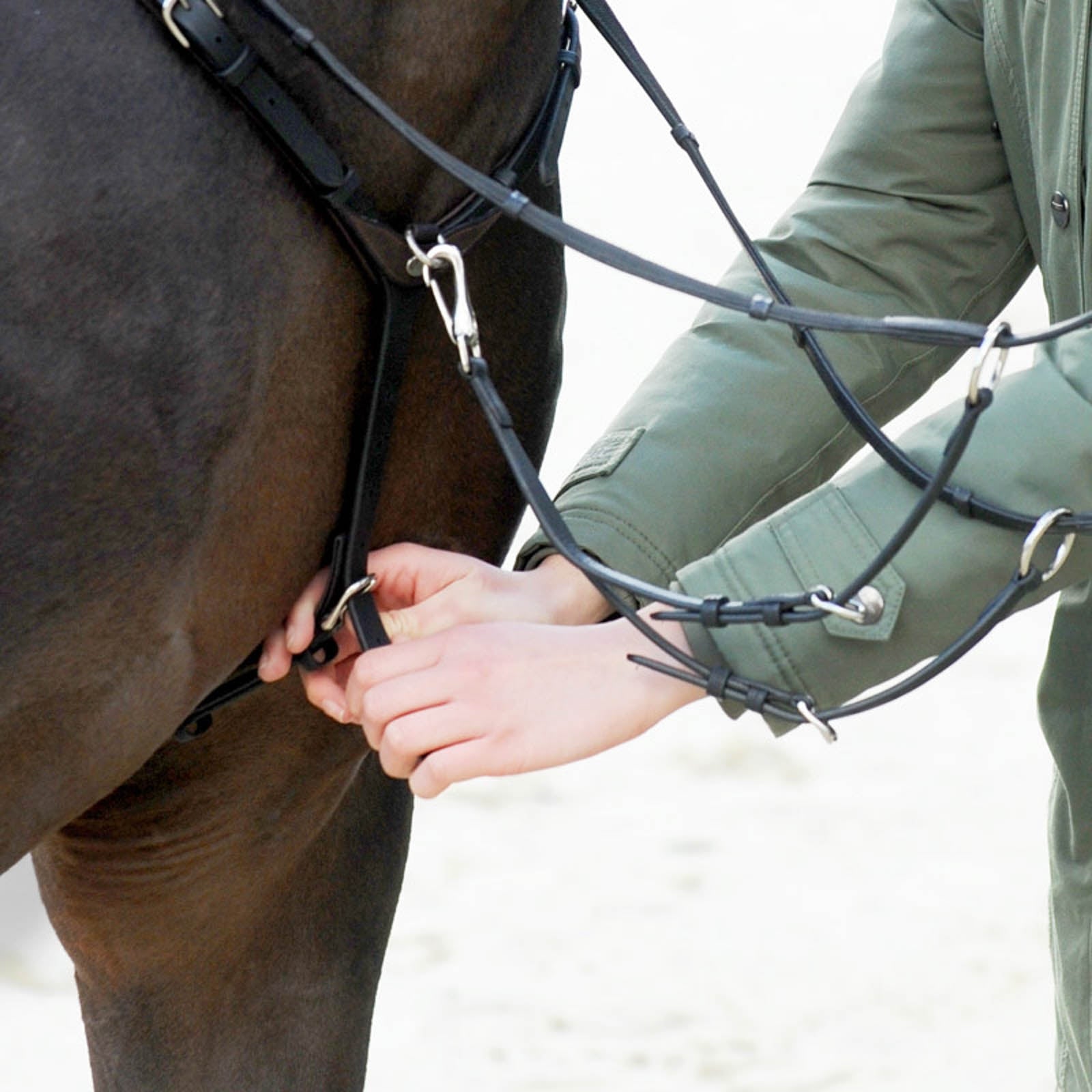 Kavalkade EveryDay Breastplate Bridles & Reins