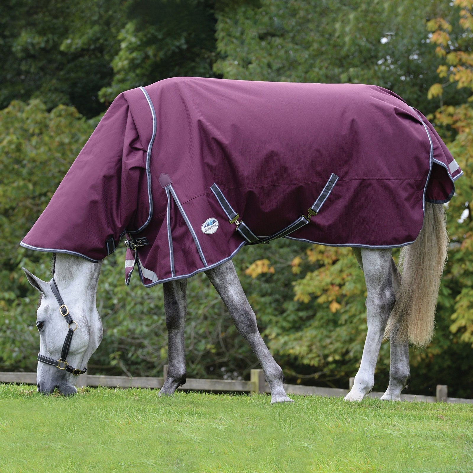 Weatherbeeta Comfitec Plus Dynamic II Detach-a-Neck Turnout Rug, 0g Horse Rugs