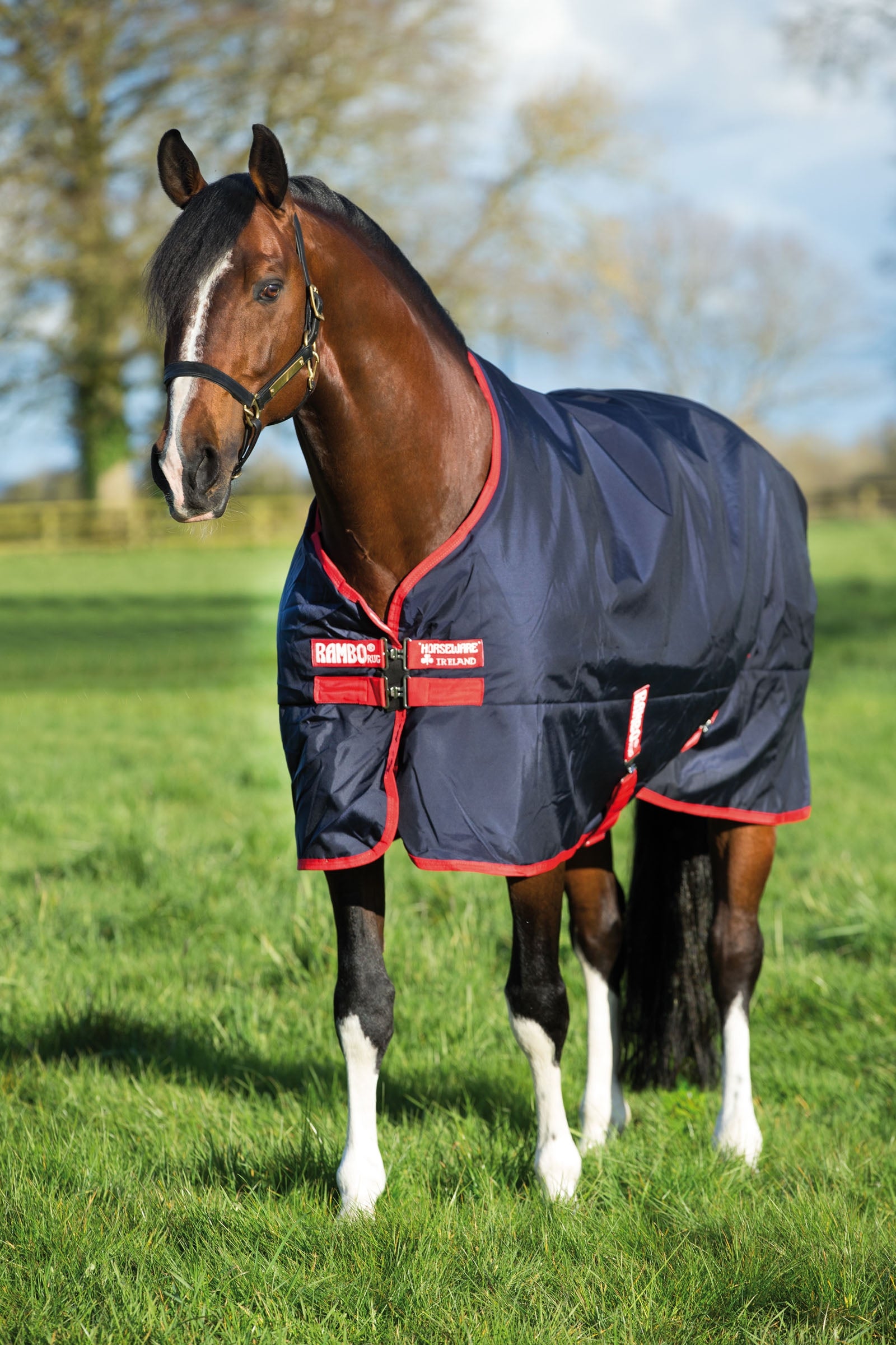 Horseware Rambo Original Weidedecke, 200g Pferdedecken