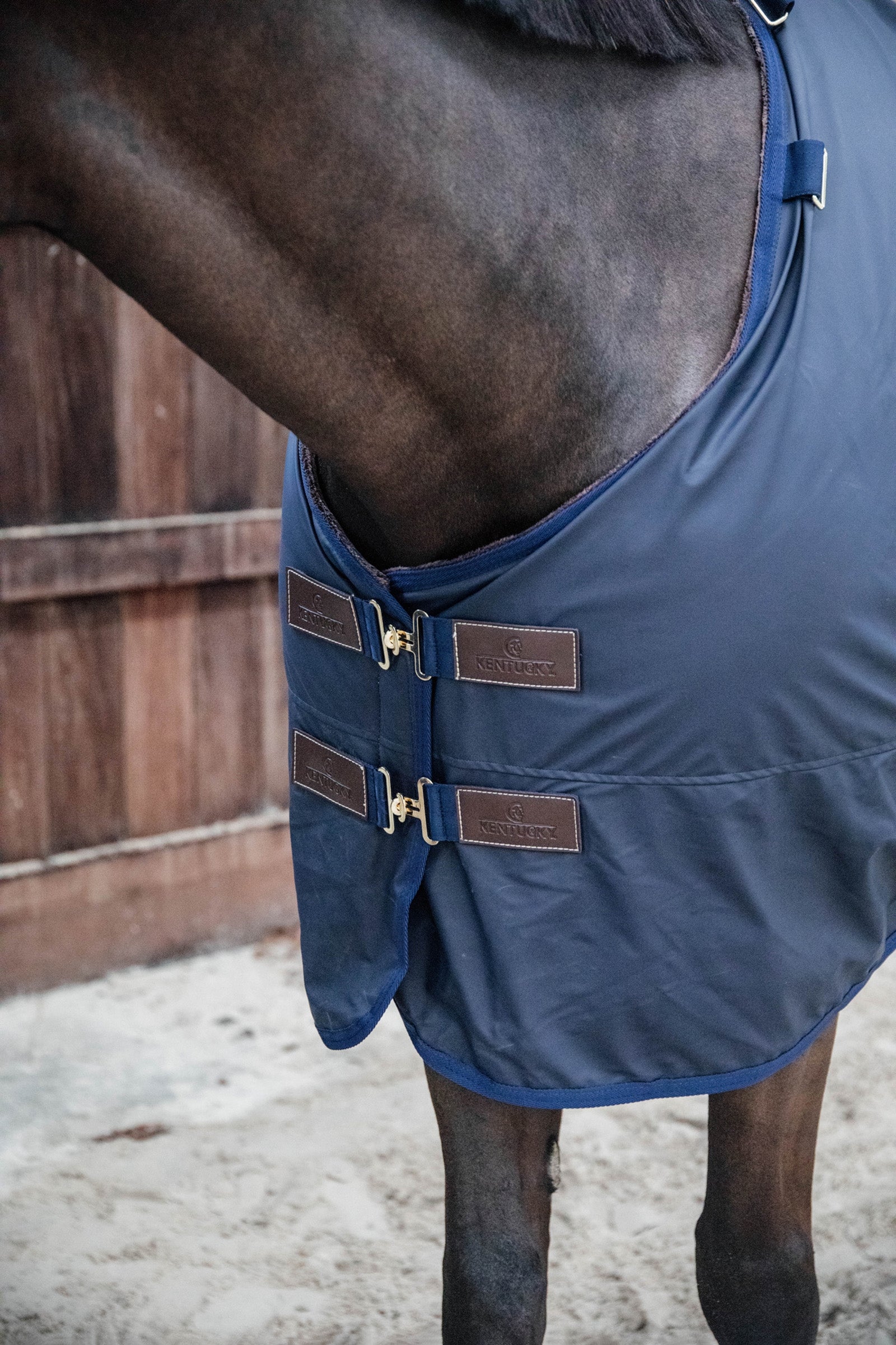 Kentucky Horsewear All Weather Hurricane Turnout, 0g Horse Rugs