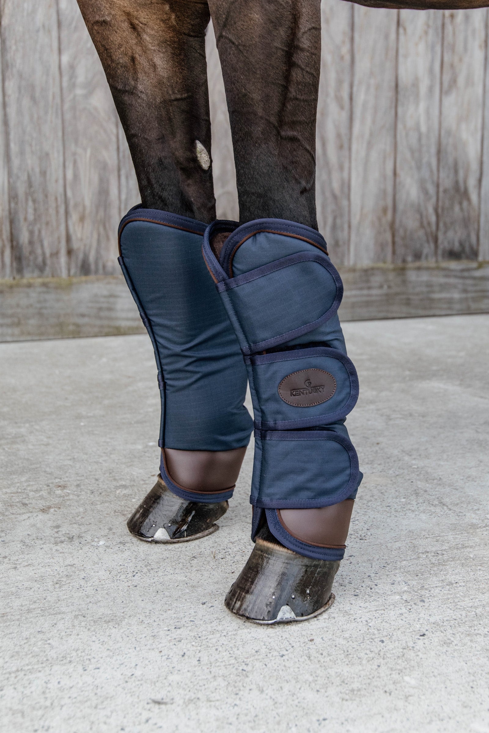 Kentucky Horsewear Transportgamaschen Leg Protection & Hoof Protection for Horses