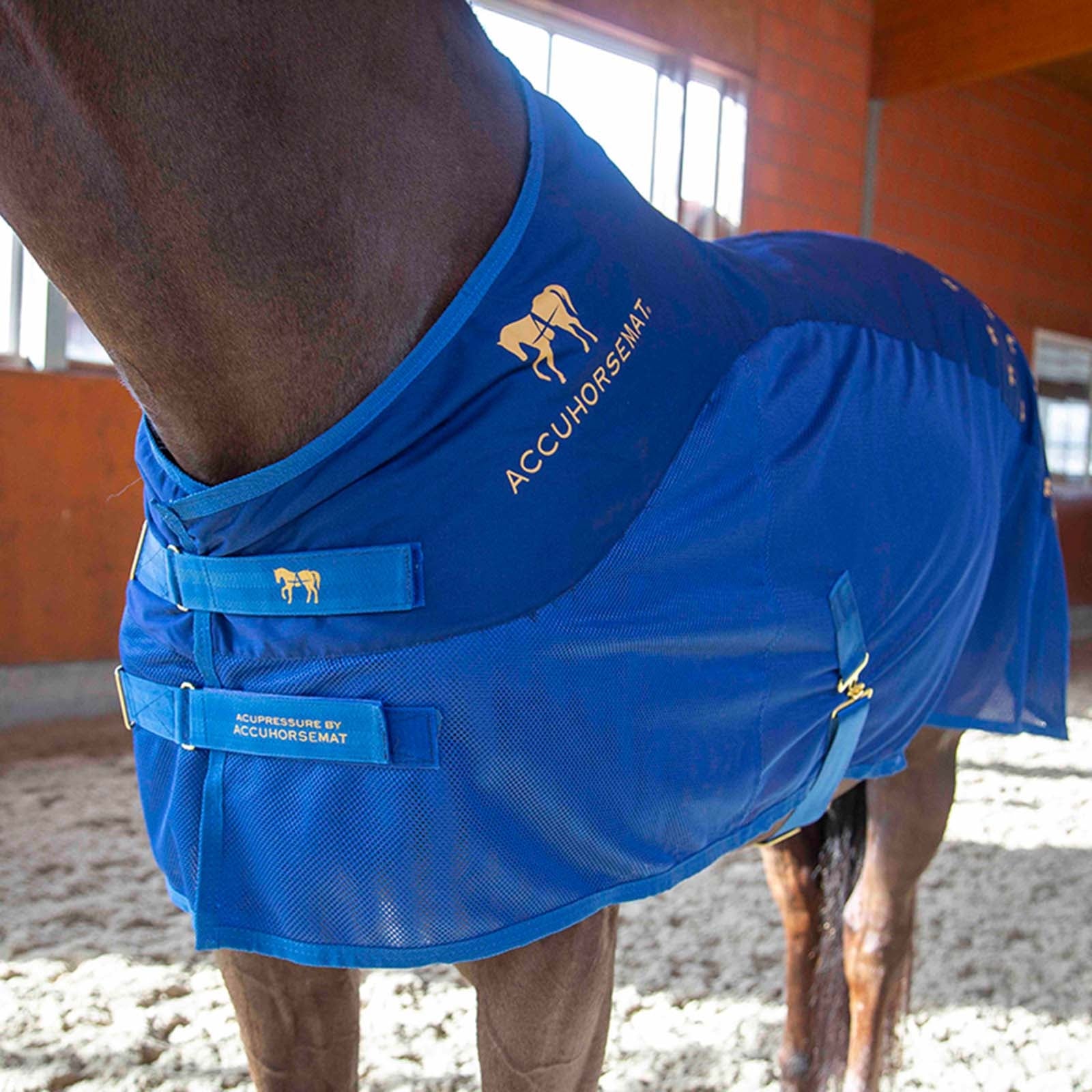 Accuhorsemat Cooler Pferdedecken