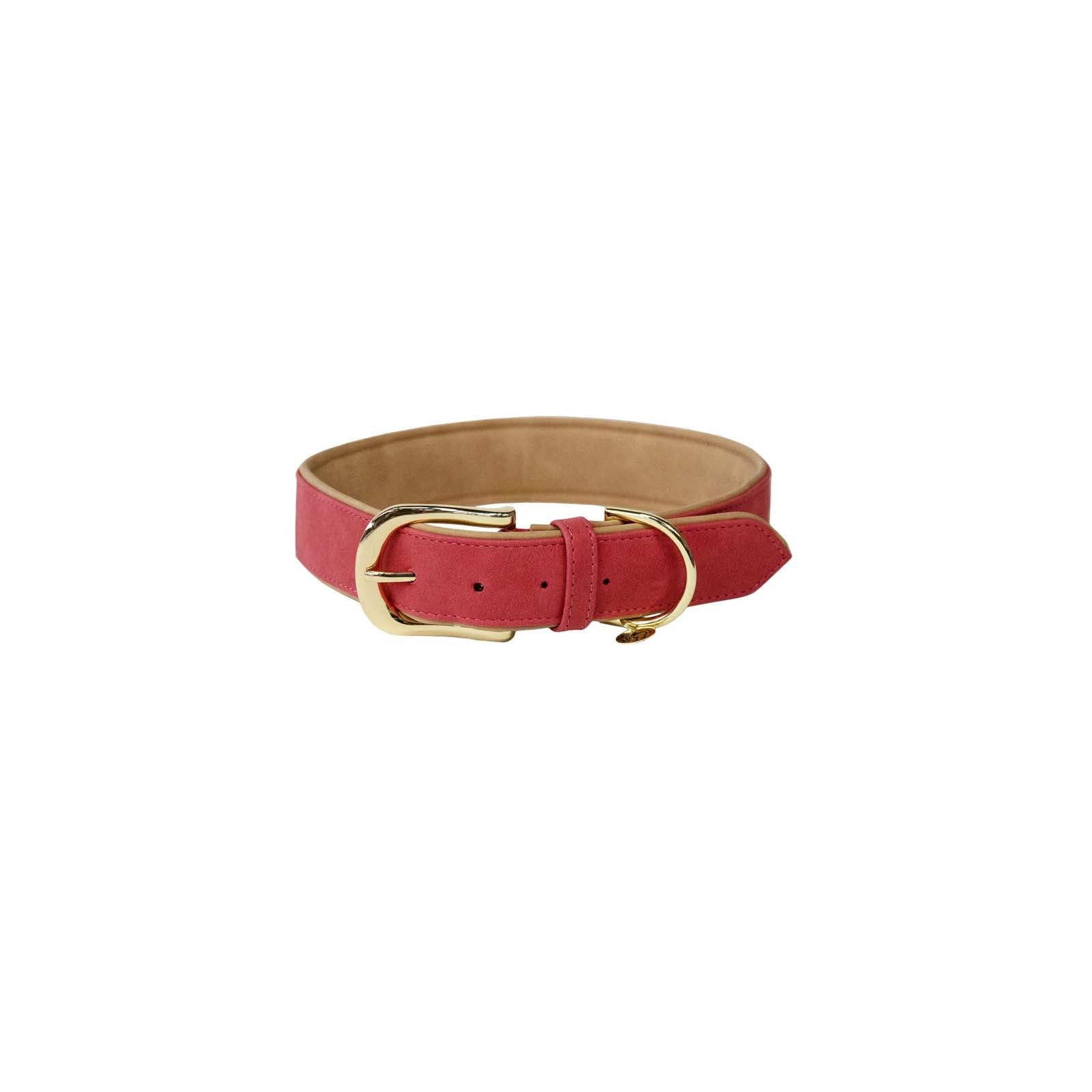 Kentucky Horsewear Kentucky Dogwear Hundehalsband weiches veganes Leder Hund