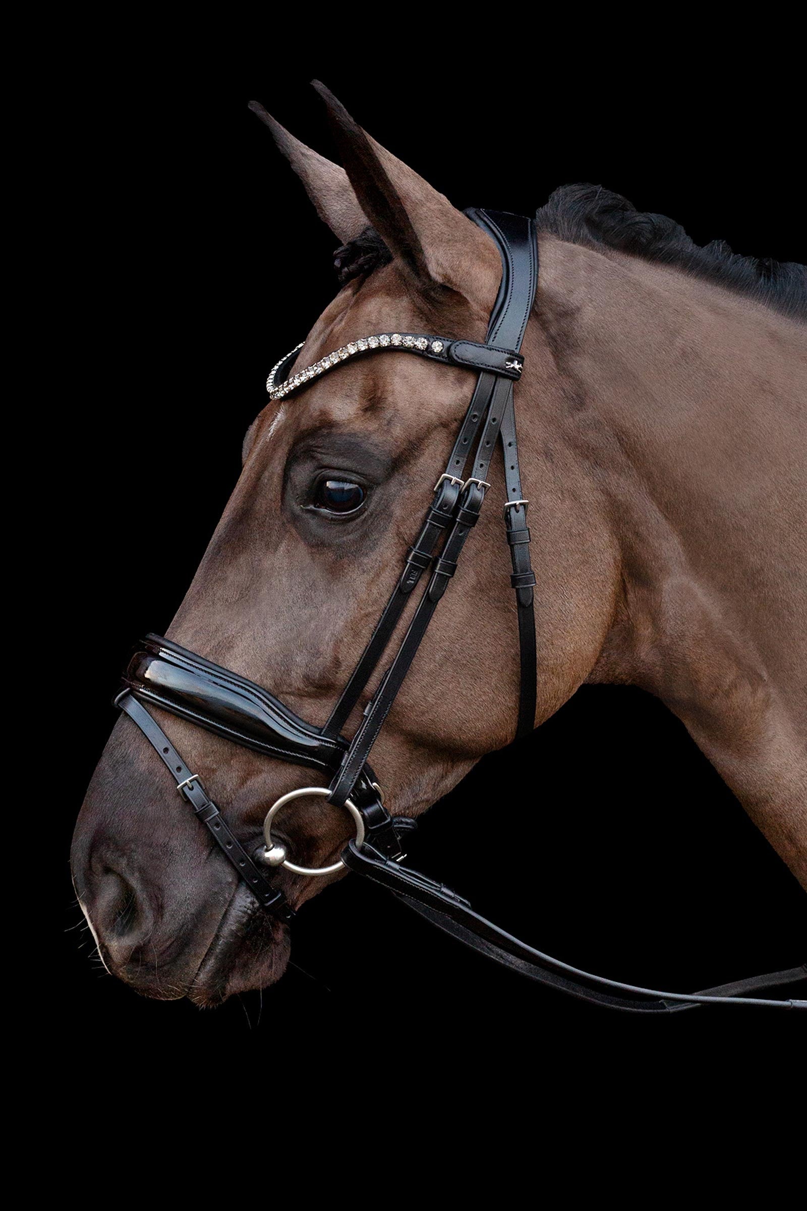 Schockemöhle Sports Siena Bridle Bridles & Reins