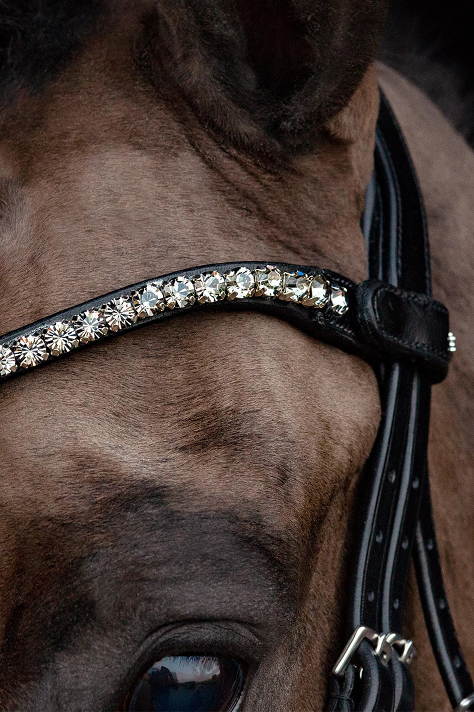 Schockemöhle Sports Siena Bridle Bridles & Reins