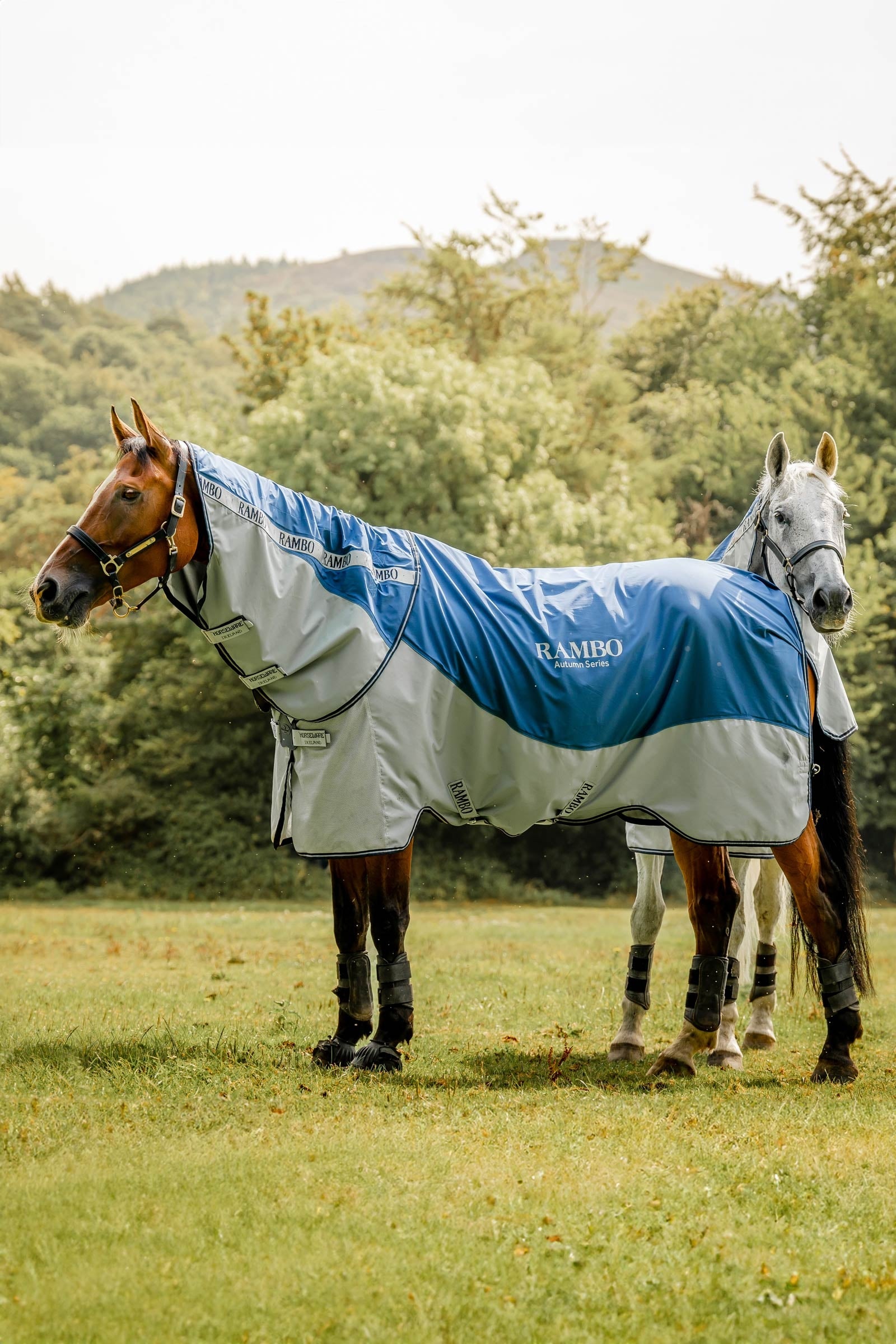 Horseware Rambo Autumn Series Turnout Rug With Liner (0g / 100g) Horse Rugs