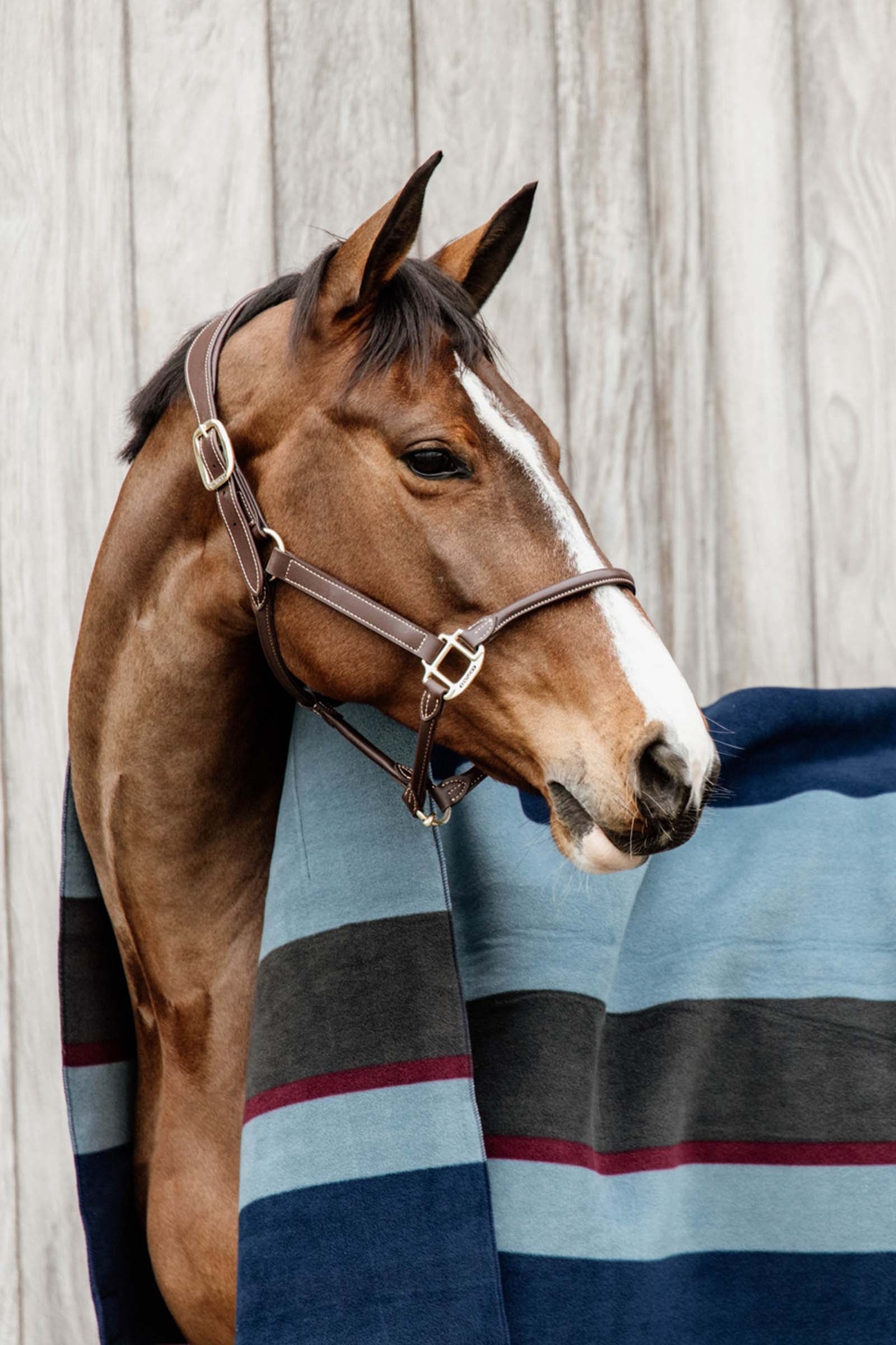 Kentucky Horsewear Heavy Fleece Rug Square Horse Rugs