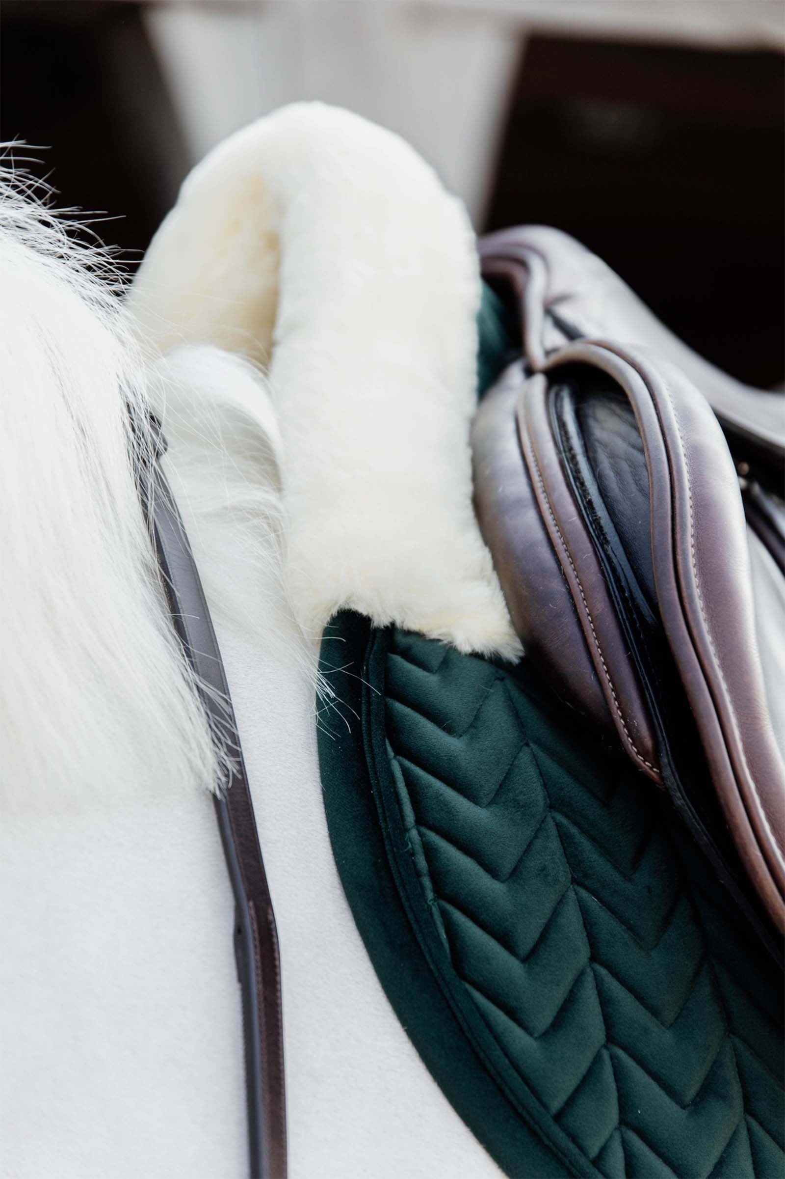 Kentucky Horsewear Velvet Skin Friendly Jumping Saddle Pad Saddle Pads