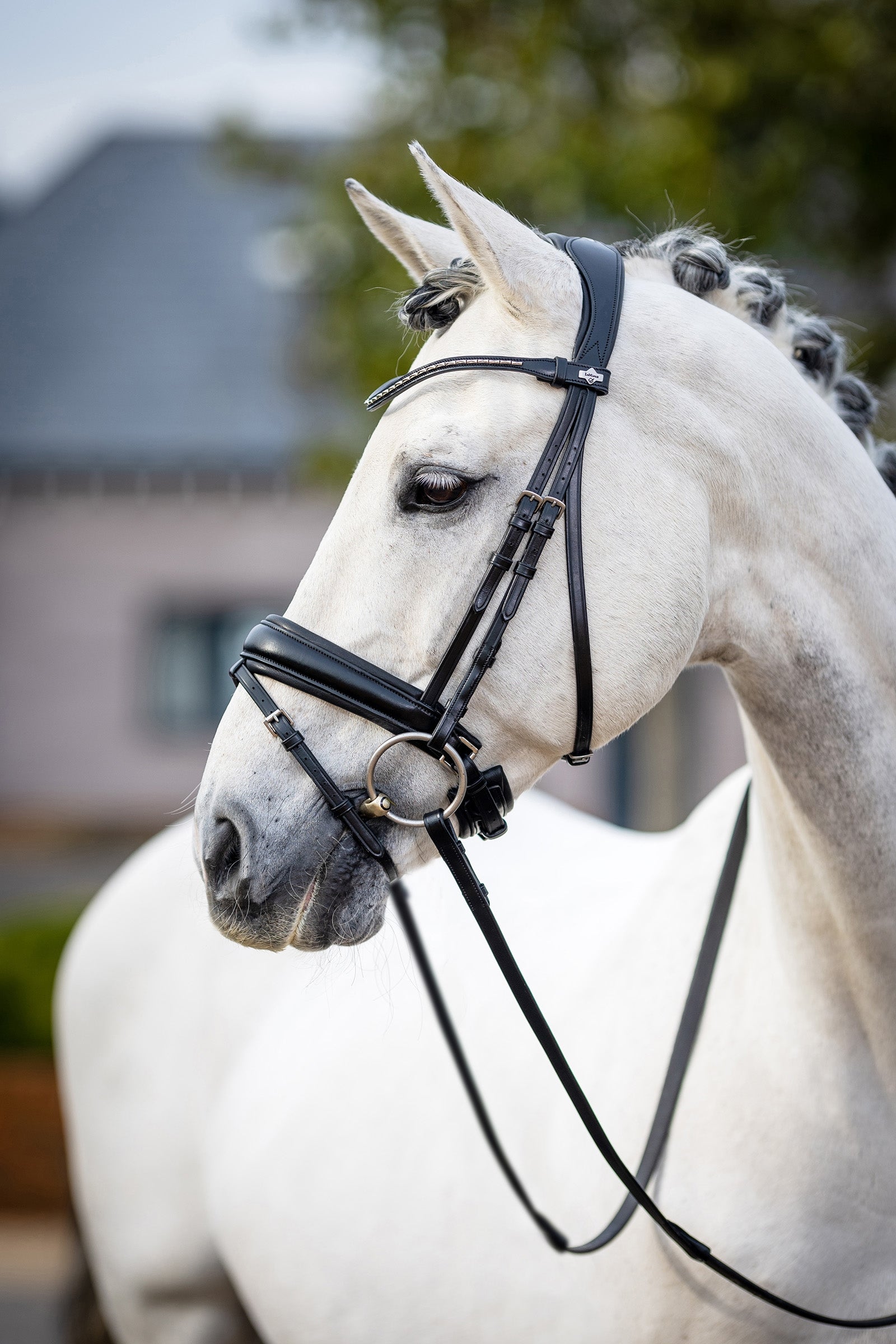 LeMieux Classic Dressage Bridle Bridles & Reins