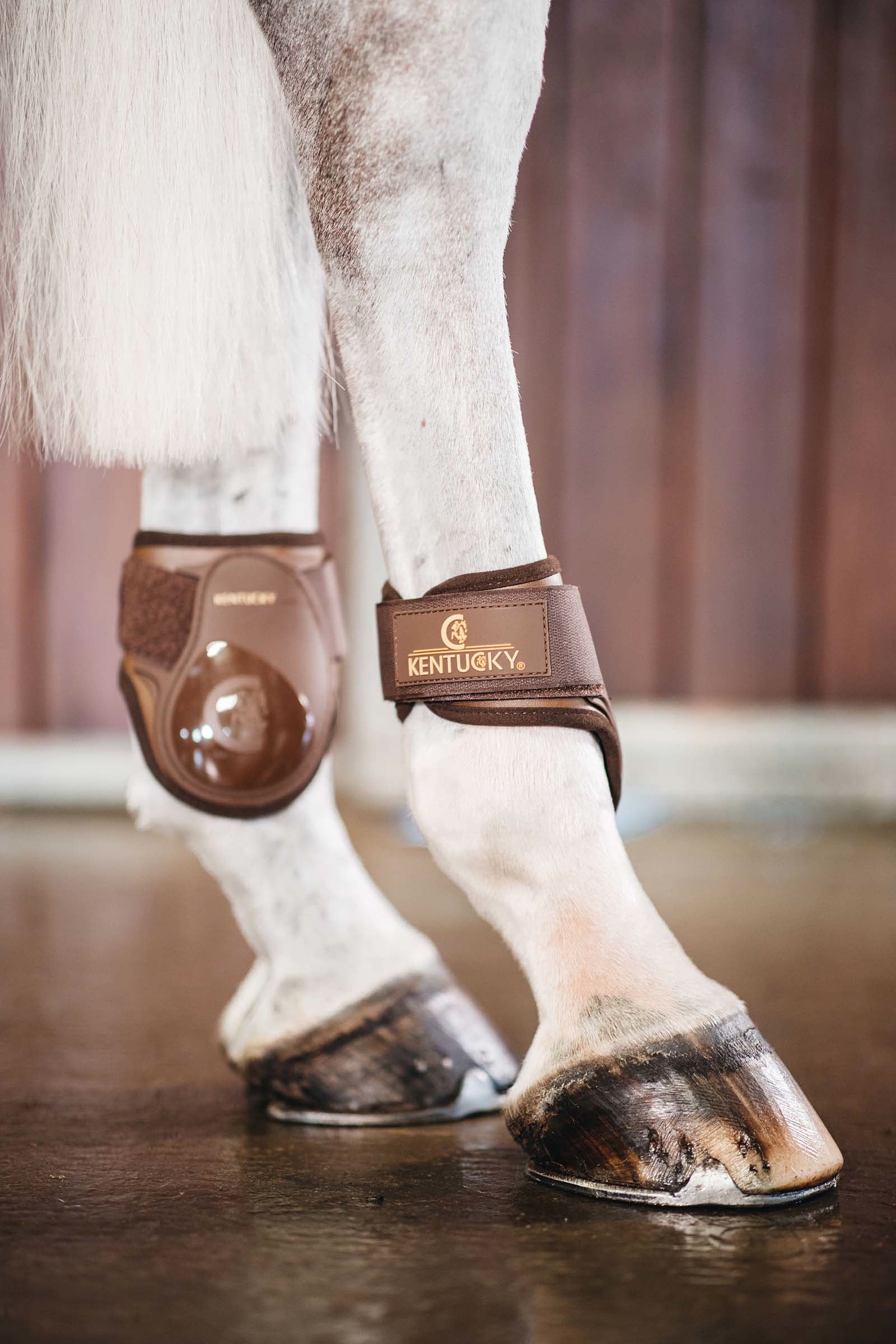 Kentucky Horsewear Young Horse Fetlock Boots Leg Protection & Hoof Protection for Horses