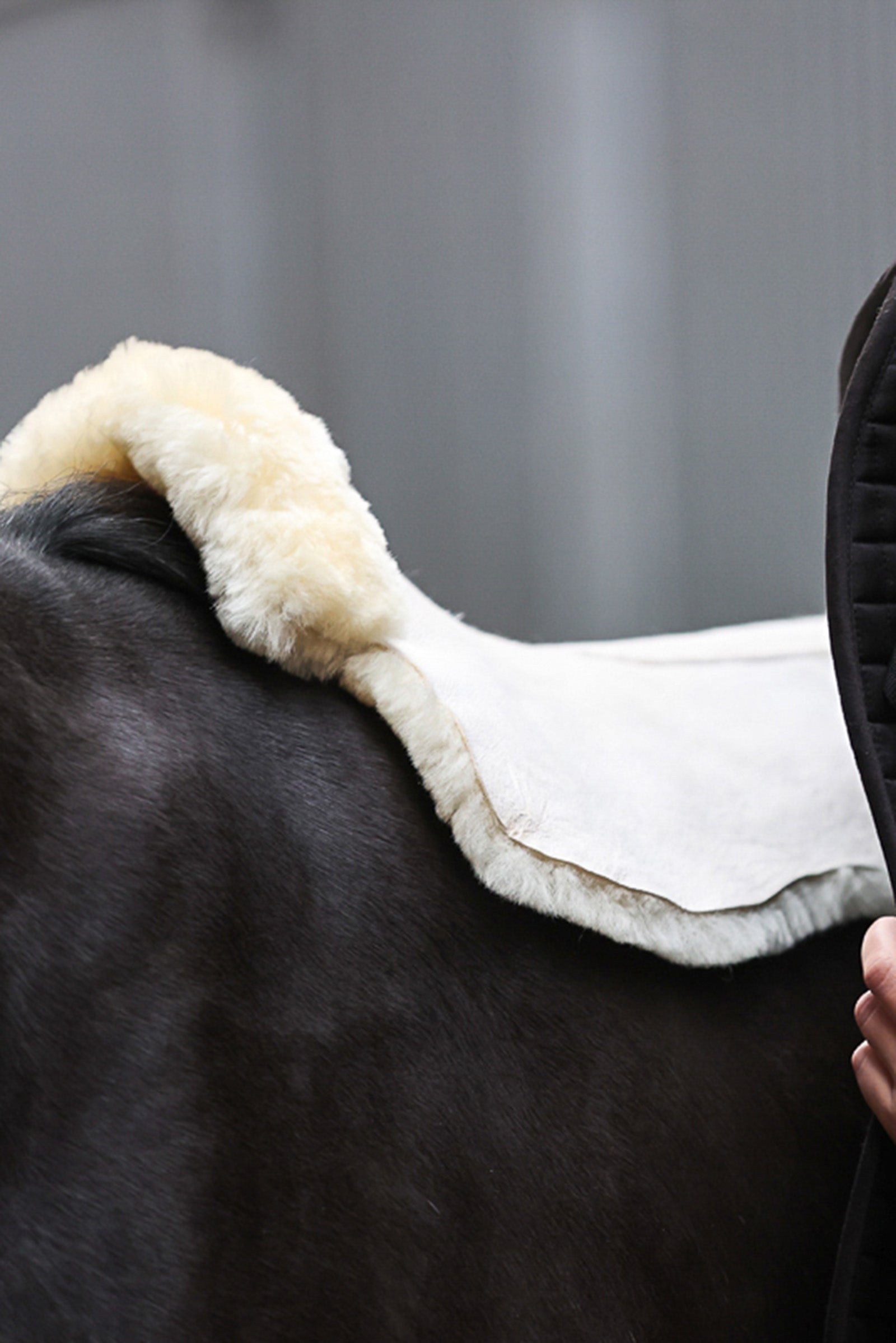 Kavalkade Pure Sheepskin Half Pad Saddle Pads