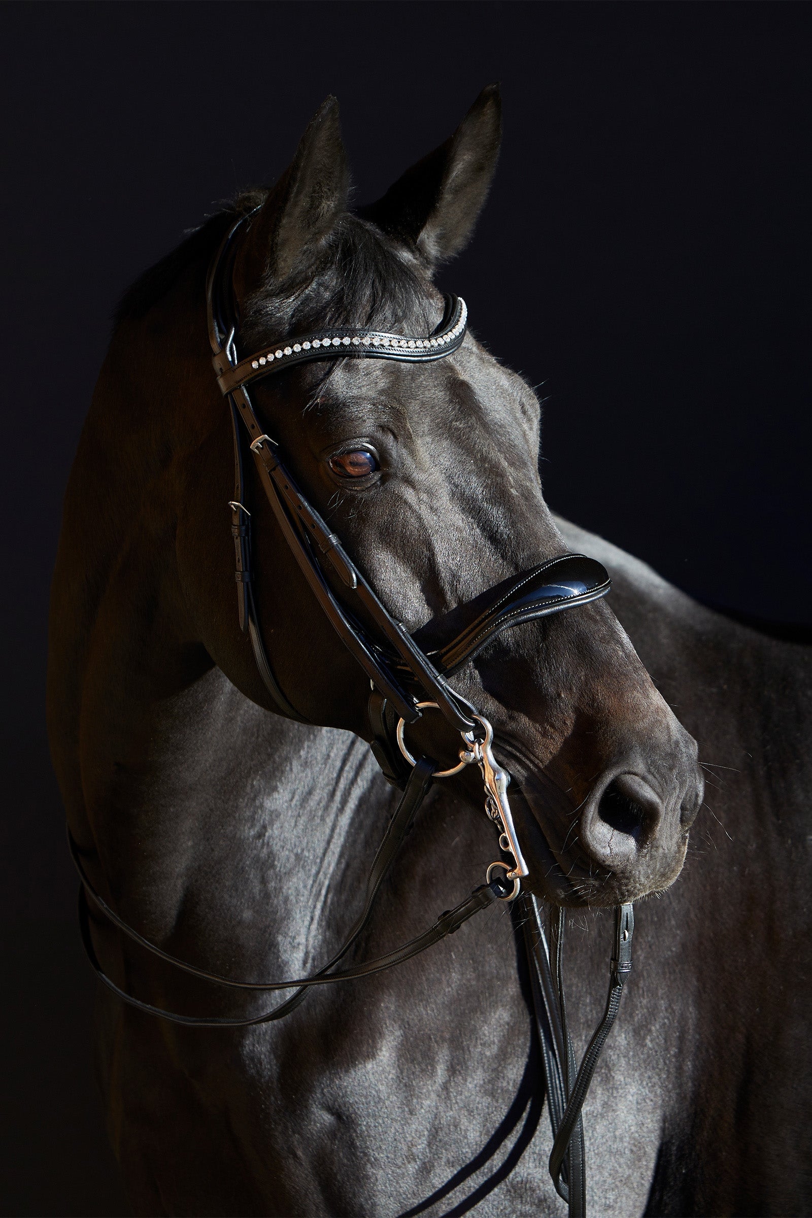 Kieffer Ultrasoft® Amy Double Bridle Bridles & Reins