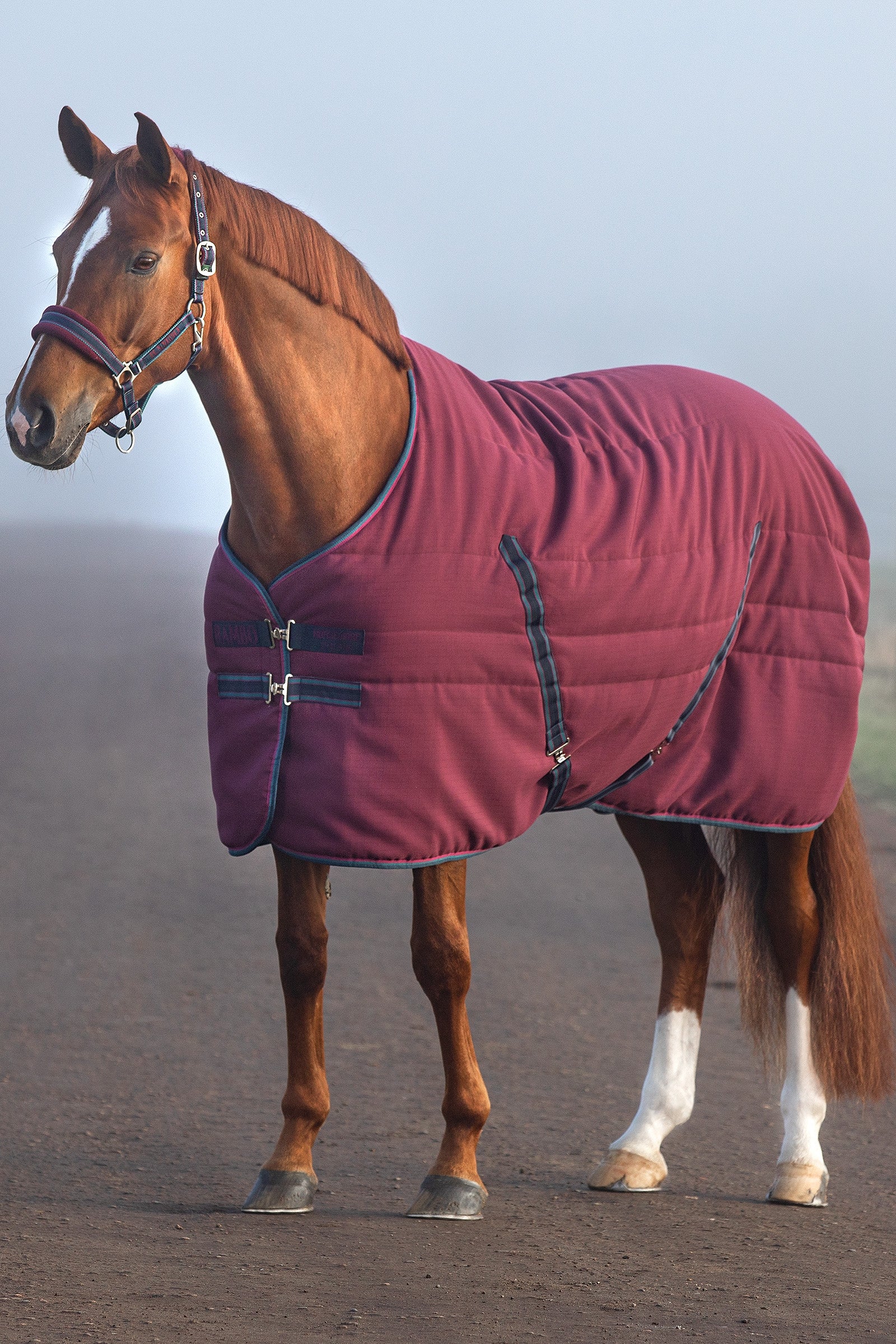 Horseware Rambo Stable Stalldecke mit geprägtem Innenfutter, 100g Pferdedecken