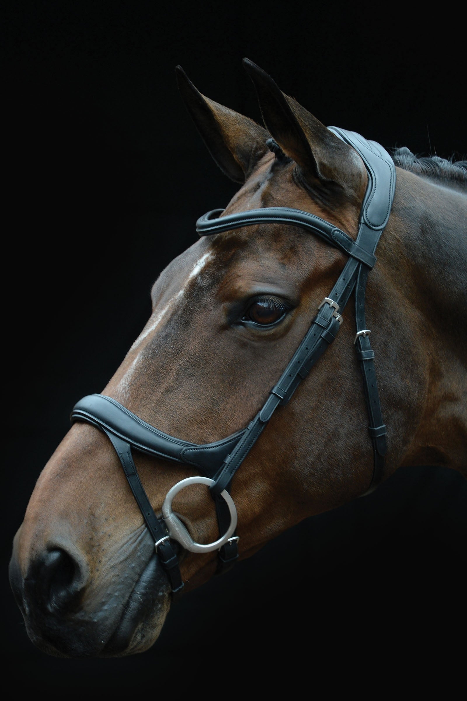 Collegiate Comfitec Vogue Anatomical Bridle Bridles & Reins