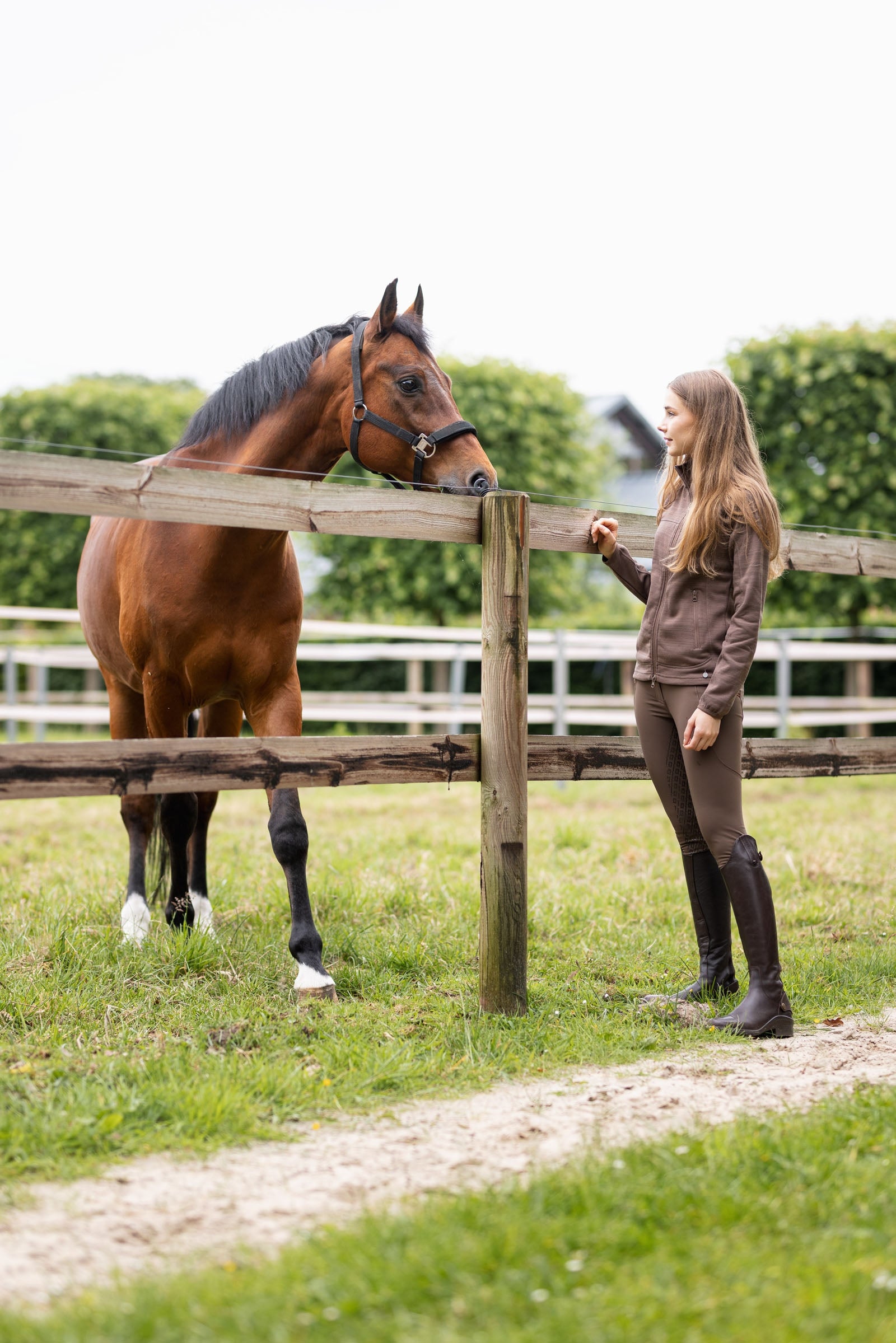 Horze Noelle Fullgrip Breeches Womens Breeches