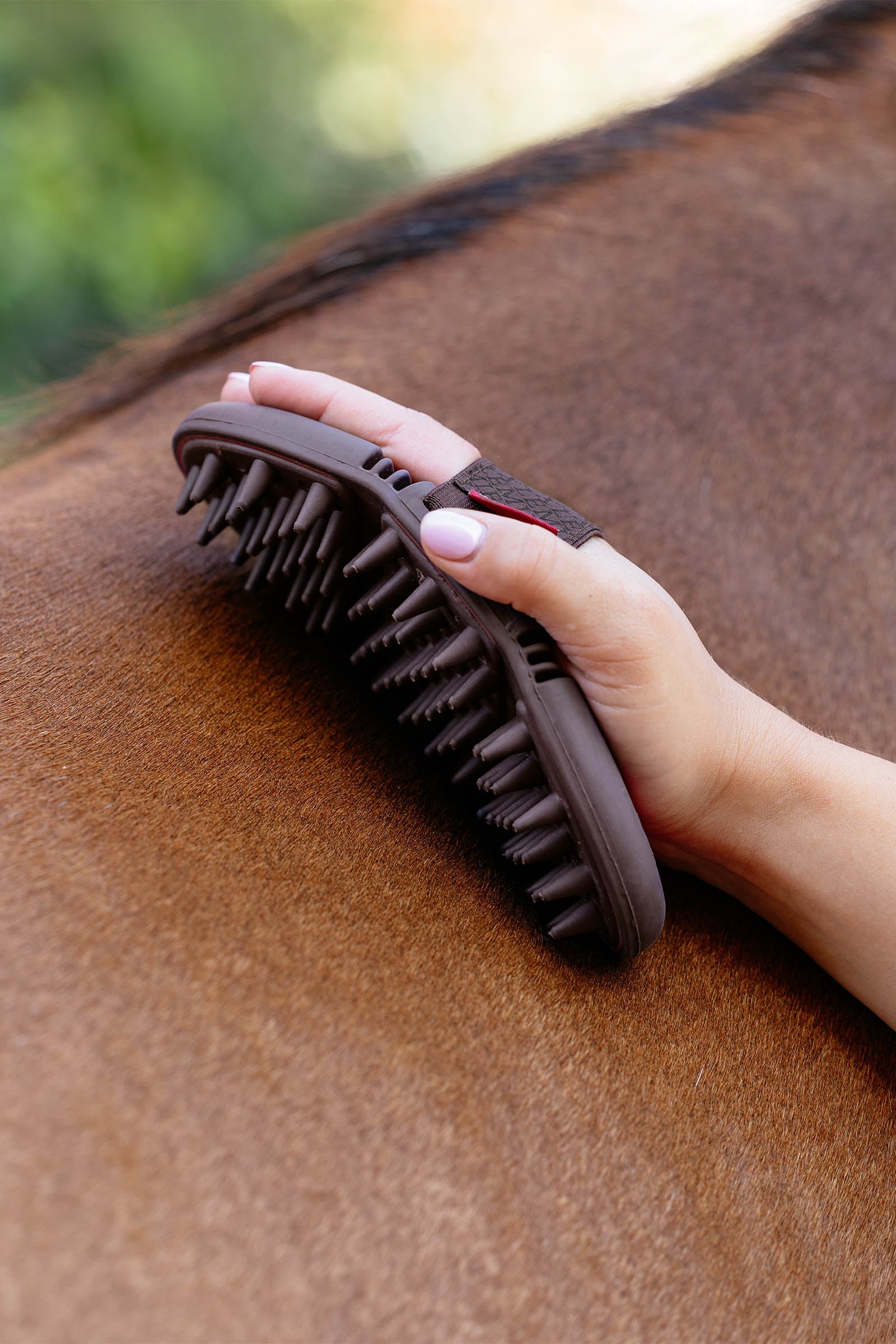 LeMieux Flexi Massage Brush Horse Grooming Tools