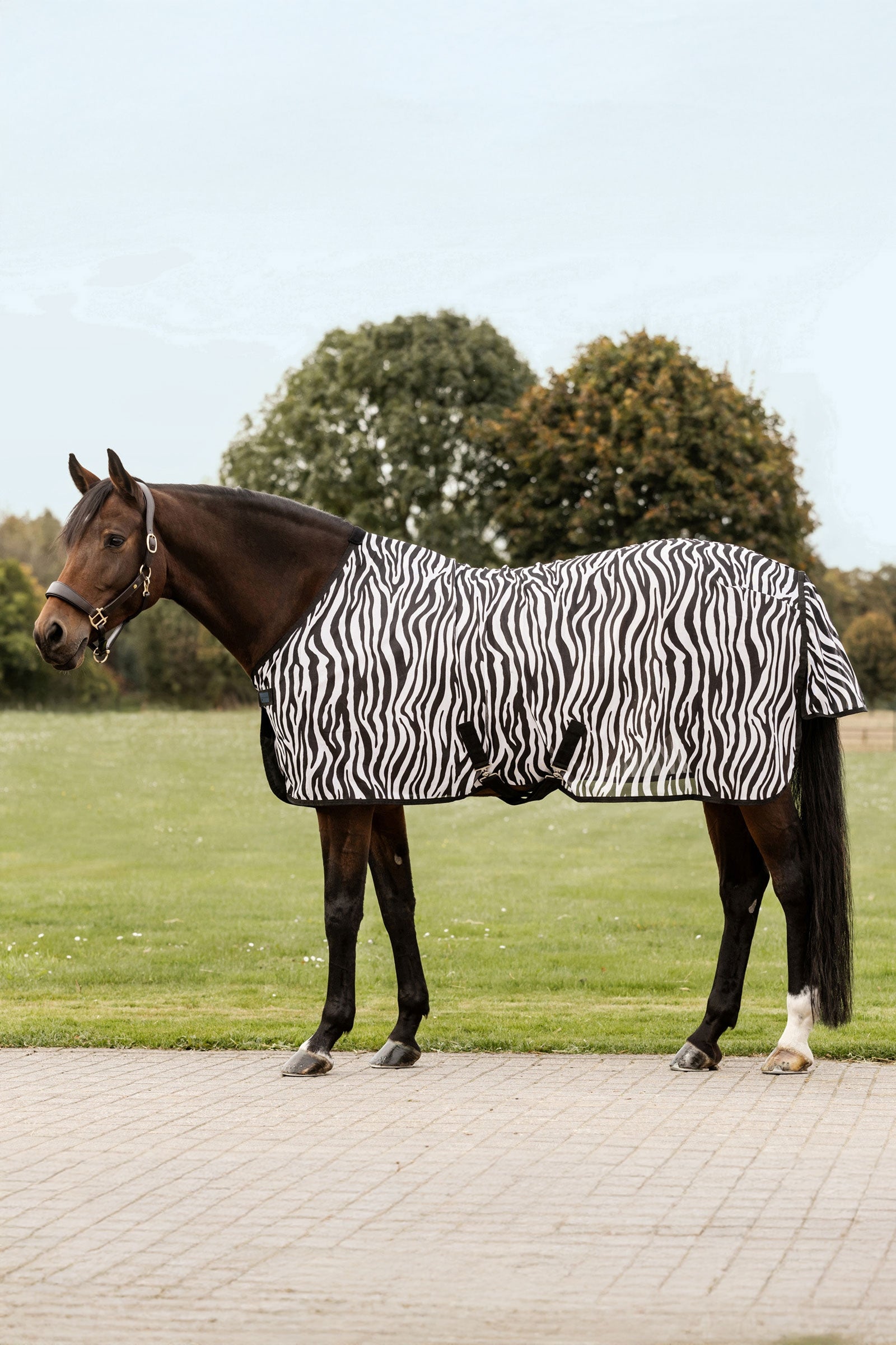 Waldhausen Zebra Fliegendecke mit Kreuzgurten Pferdedecken