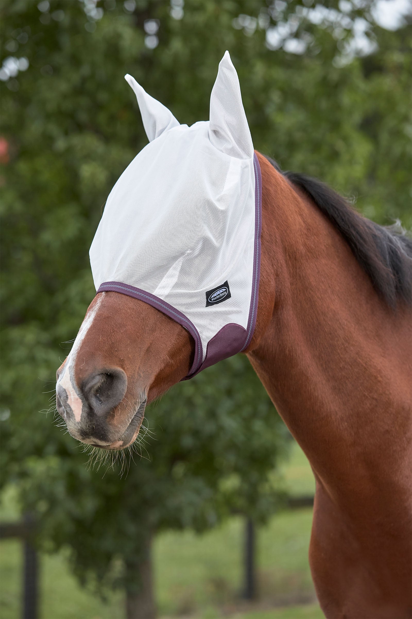 Weatherbeeta Comfitec Essential Mesh Maske Fliegenschutz