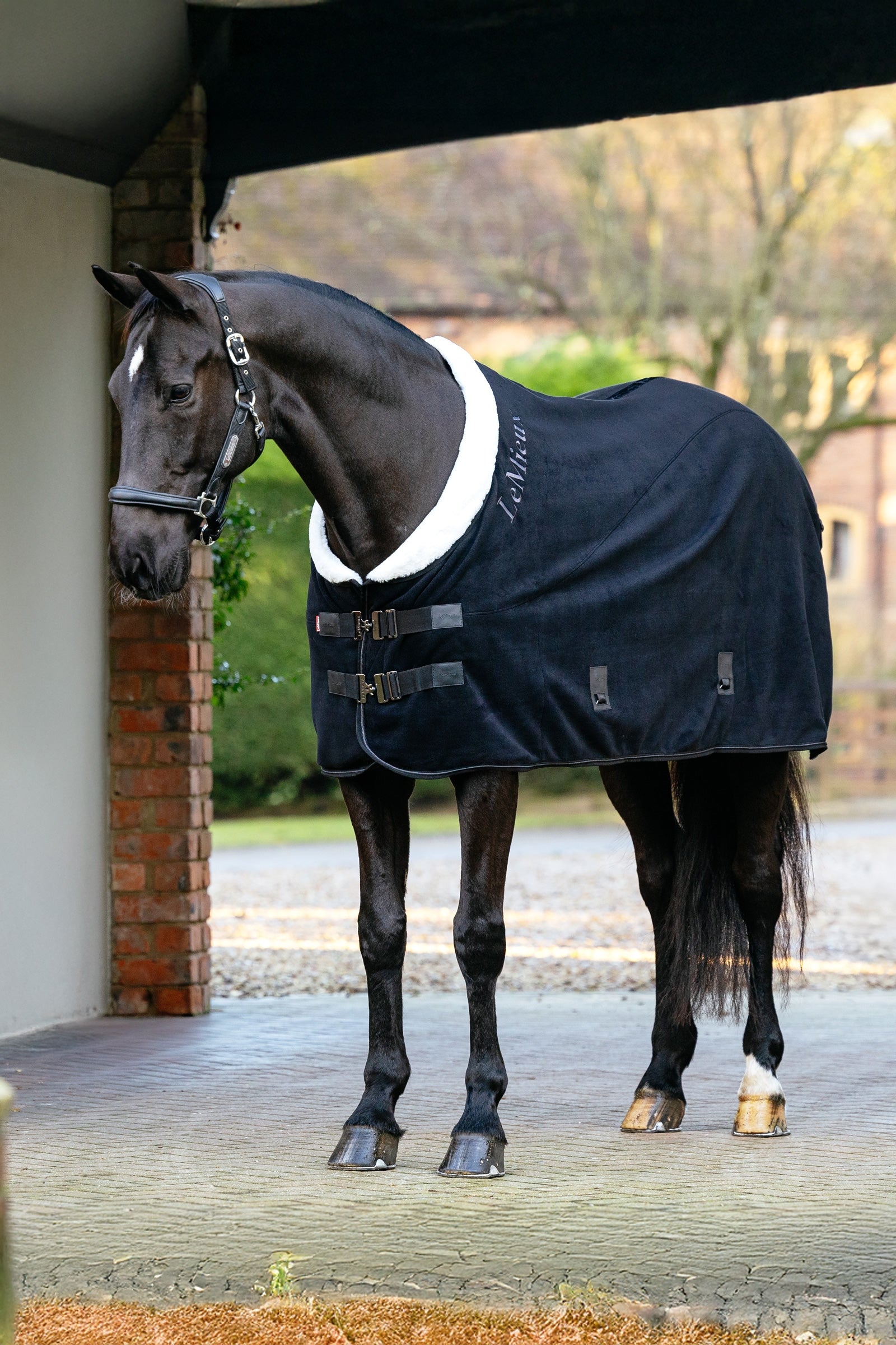LeMieux Kudos Luxe Fleece-Decke Pferdedecken