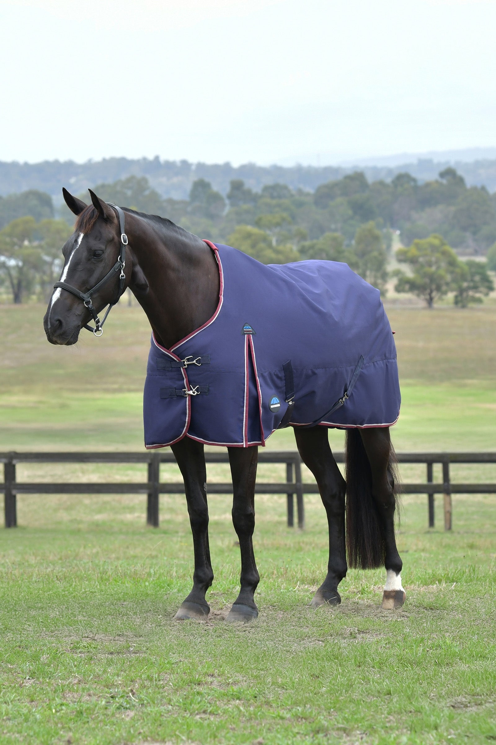 Weatherbeeta ComFiTec Essential Turnout Standard Neck 0G Horse Rugs