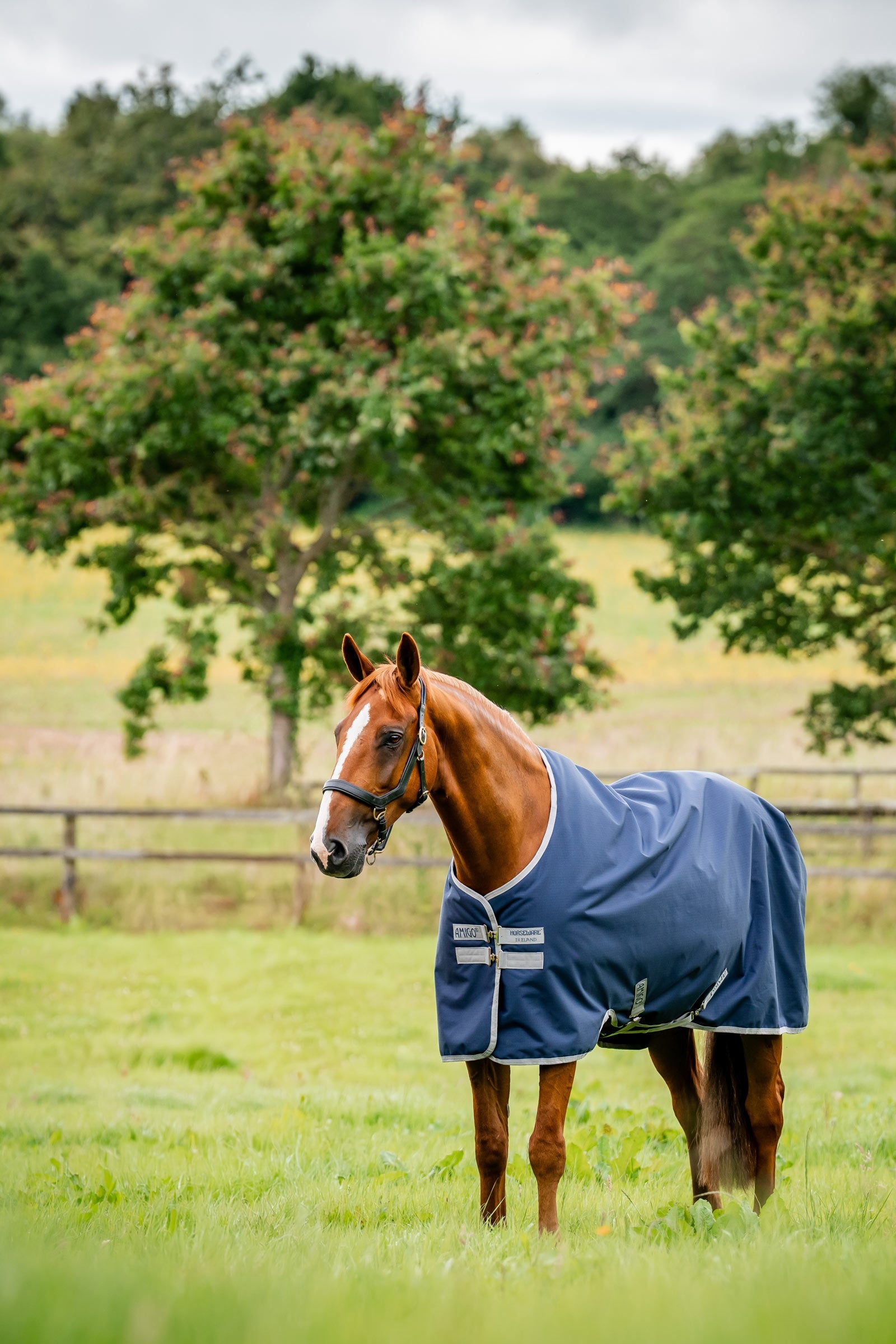 Horseware Amigo Outdoordecke Ripstop 900D, 200 g Pferdedecken