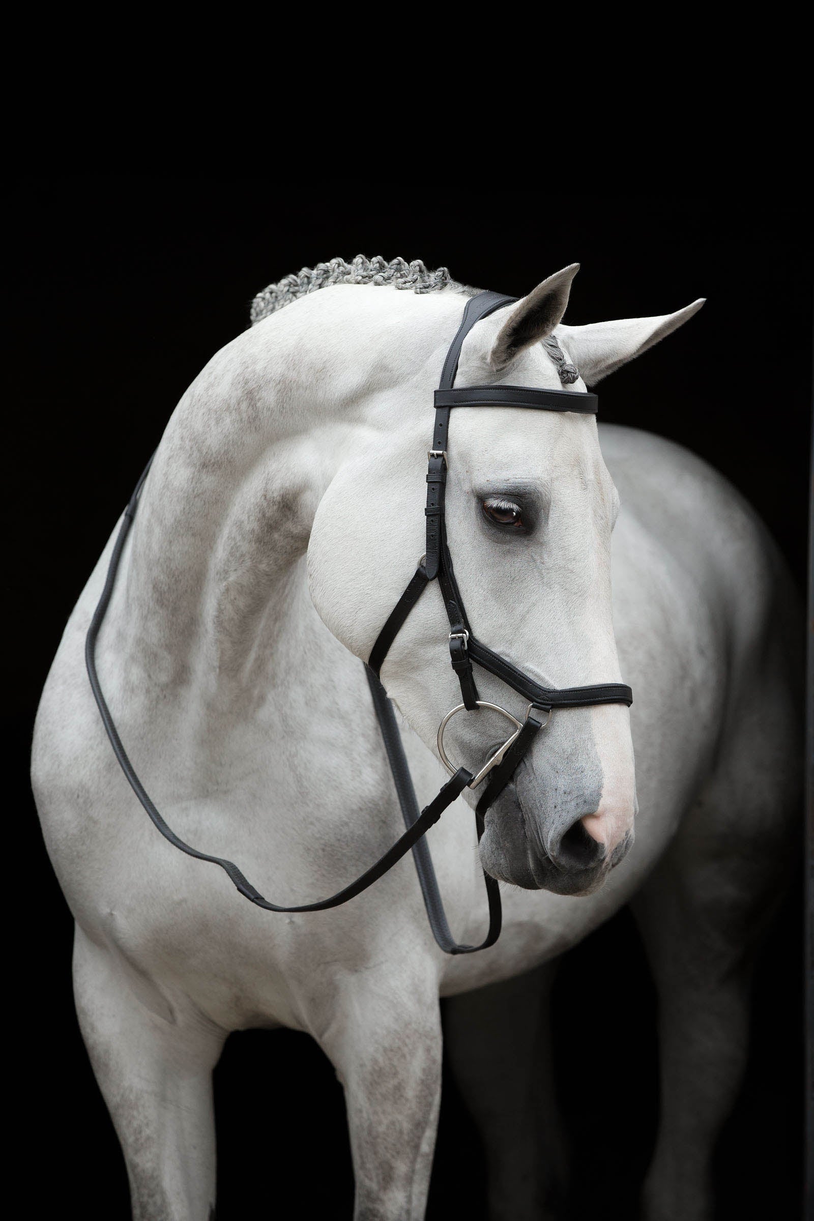 Horseware Rambo Micklem Competition Trensenzaum Trensenzäume & Zügel