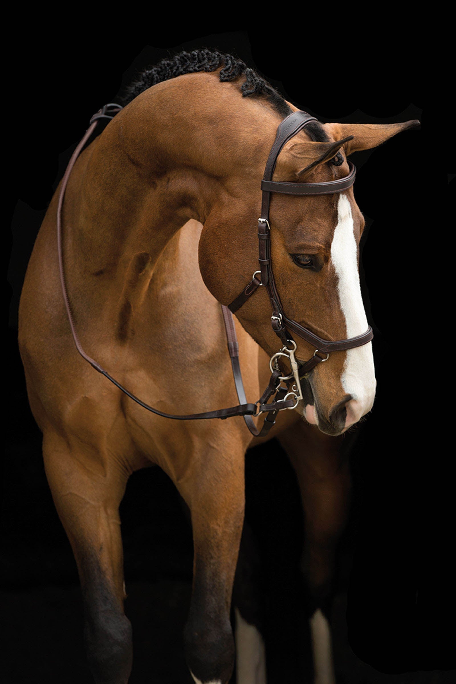 Horseware Rambo Micklem Competition Trensenzaum Trensenzäume & Zügel