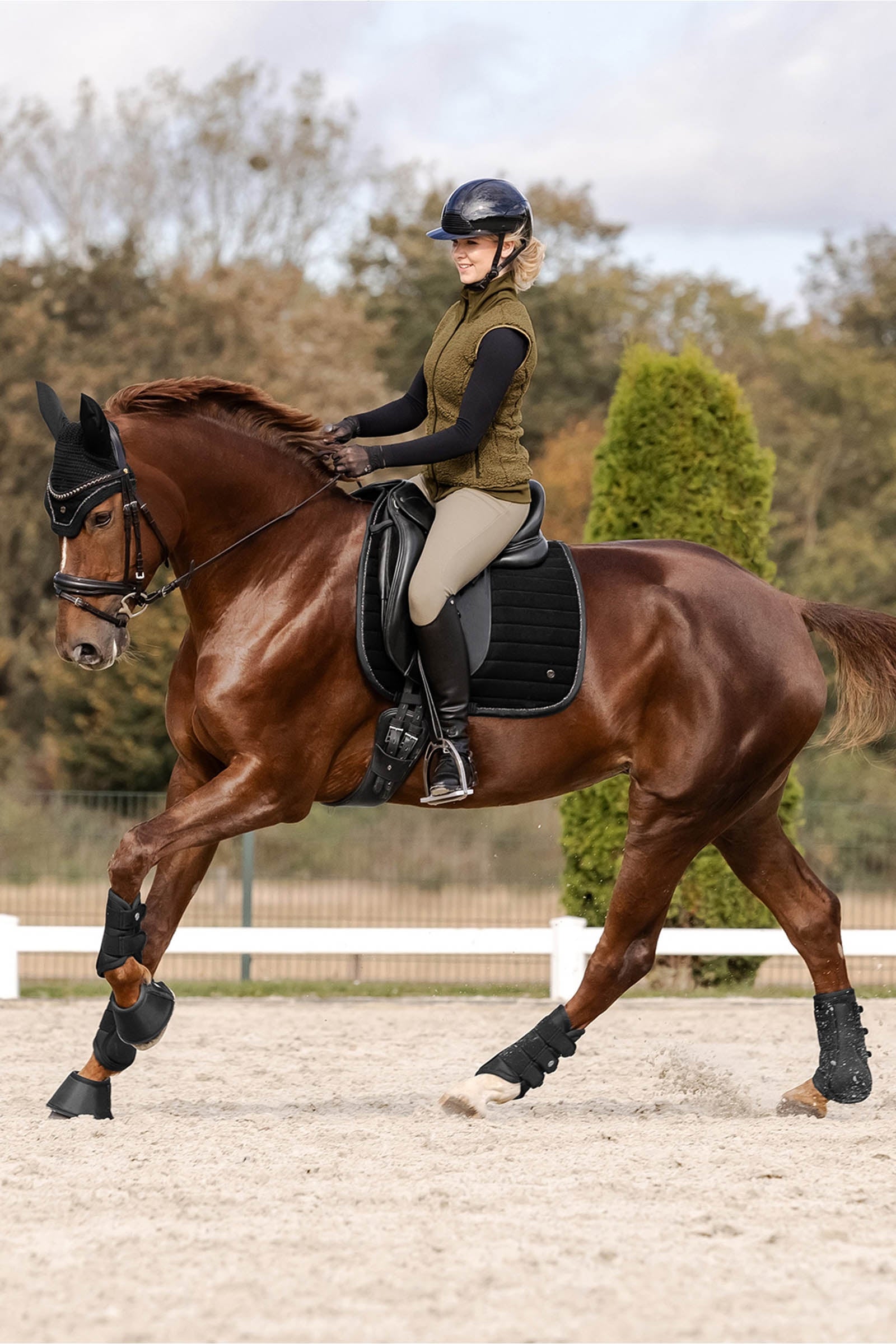 Waldhausen St. Gallen Dressage Saddle Pad Saddle Pads