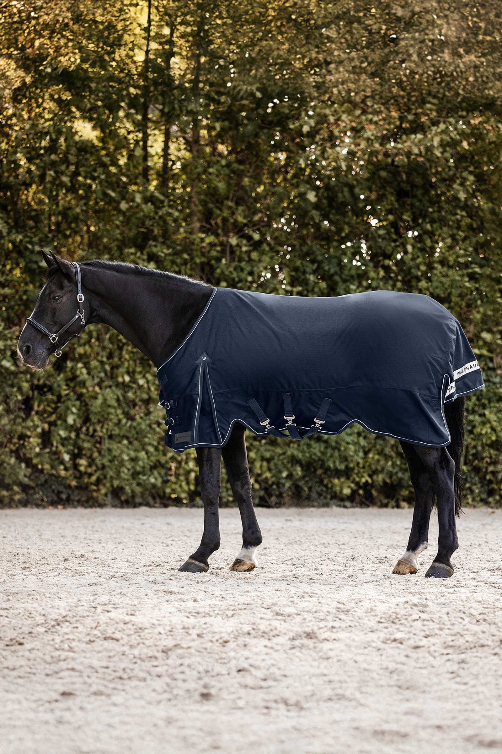Waldhausen Scandic Turnout Rug, 200 g Horse Rugs