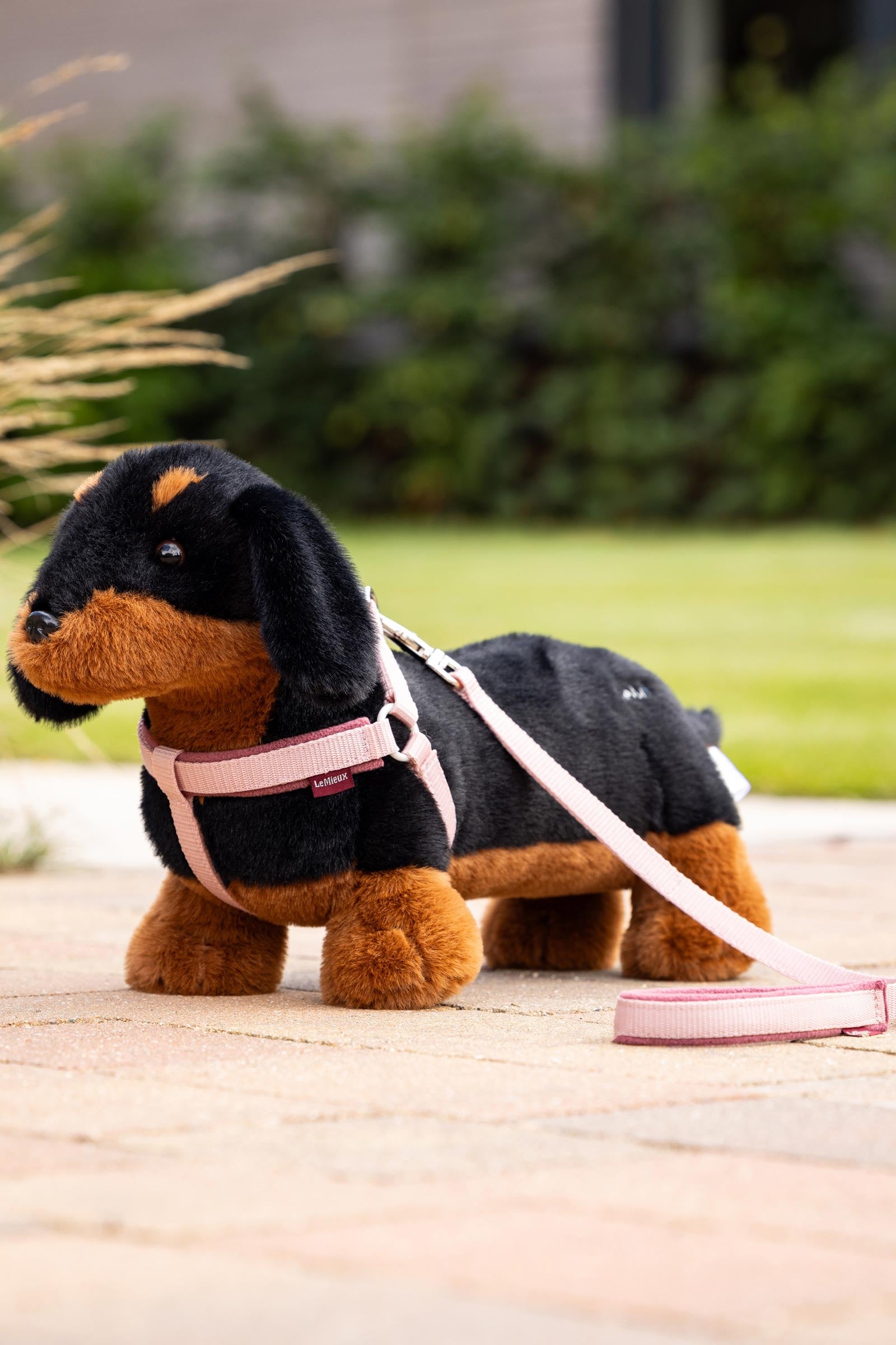 LeMieux Sally Toy Dog Gifts & Toys