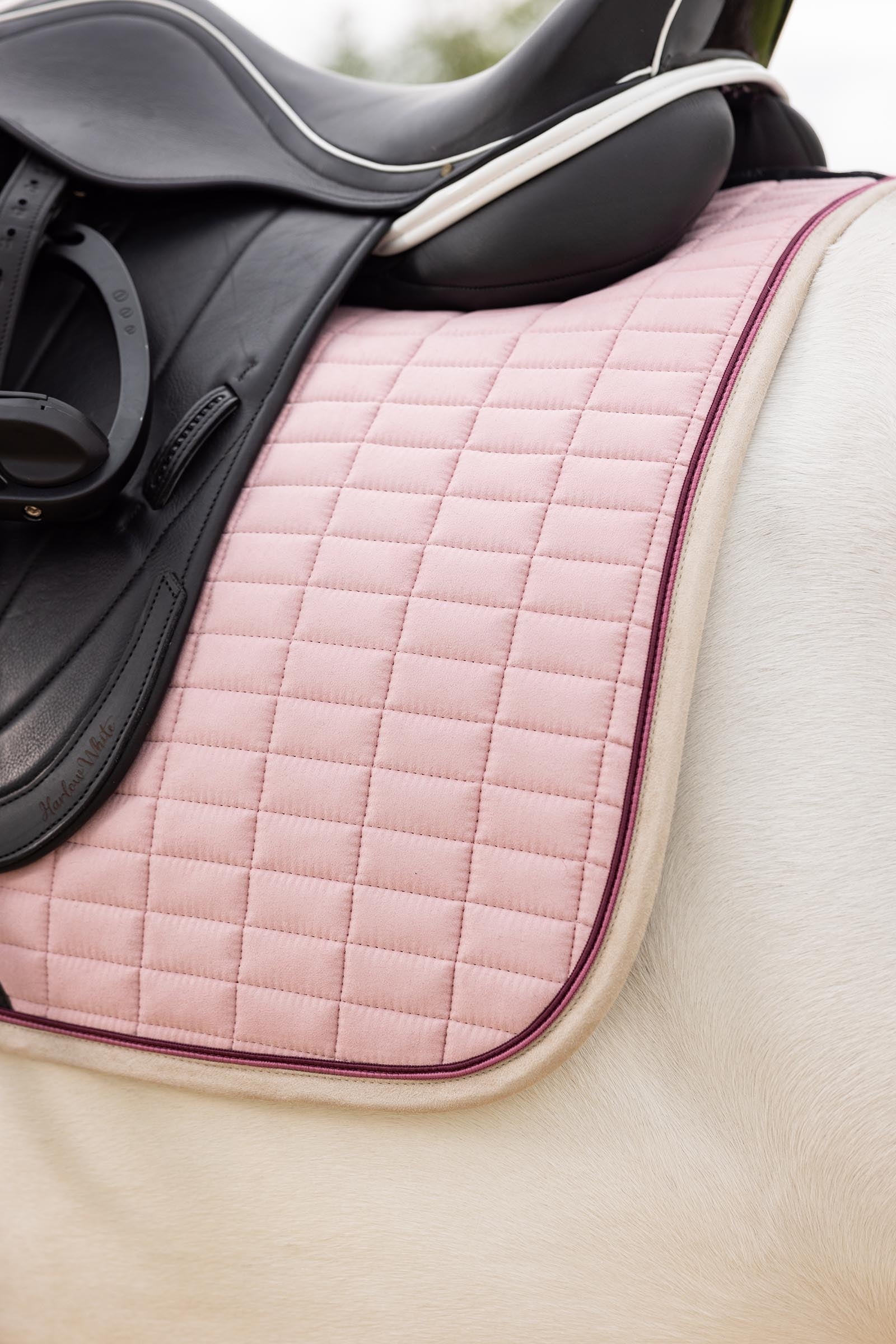 LeMieux Suede Square Dressage Saddle Pad Saddle Pads