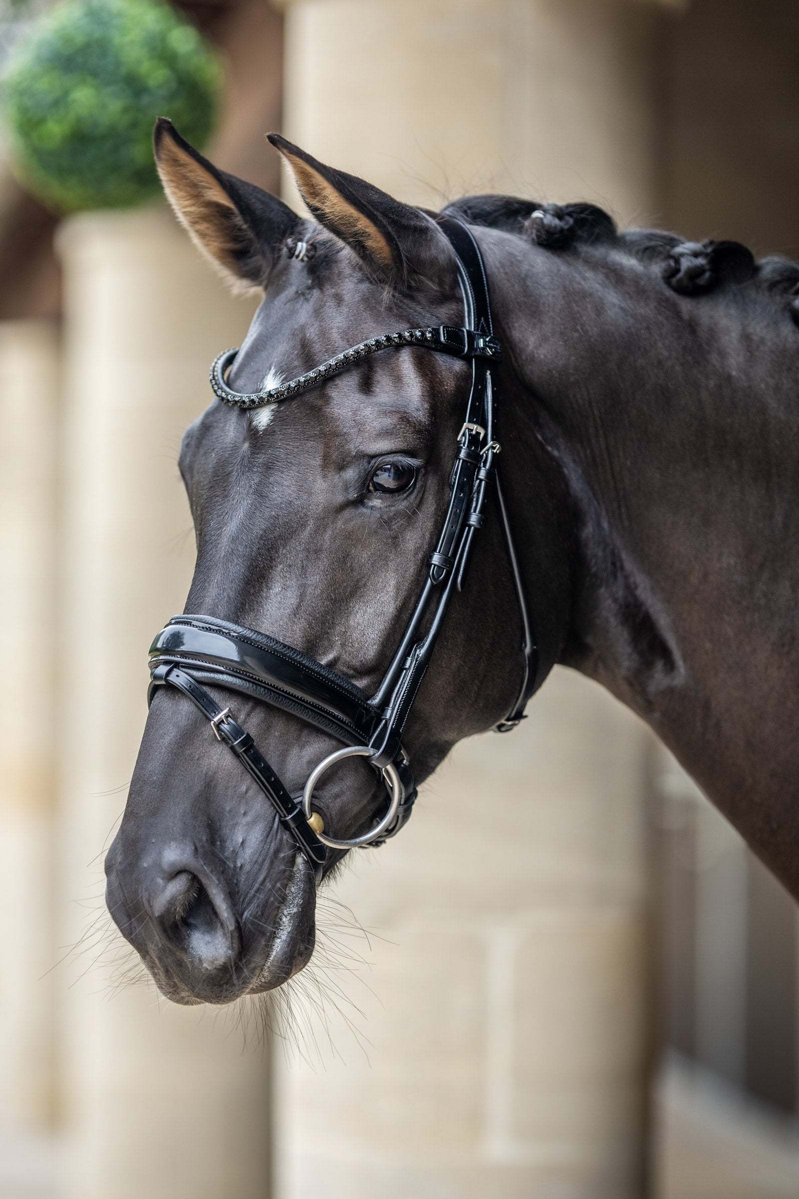 LeMieux Kudos Patent Dressage Bridle Bridles & Reins