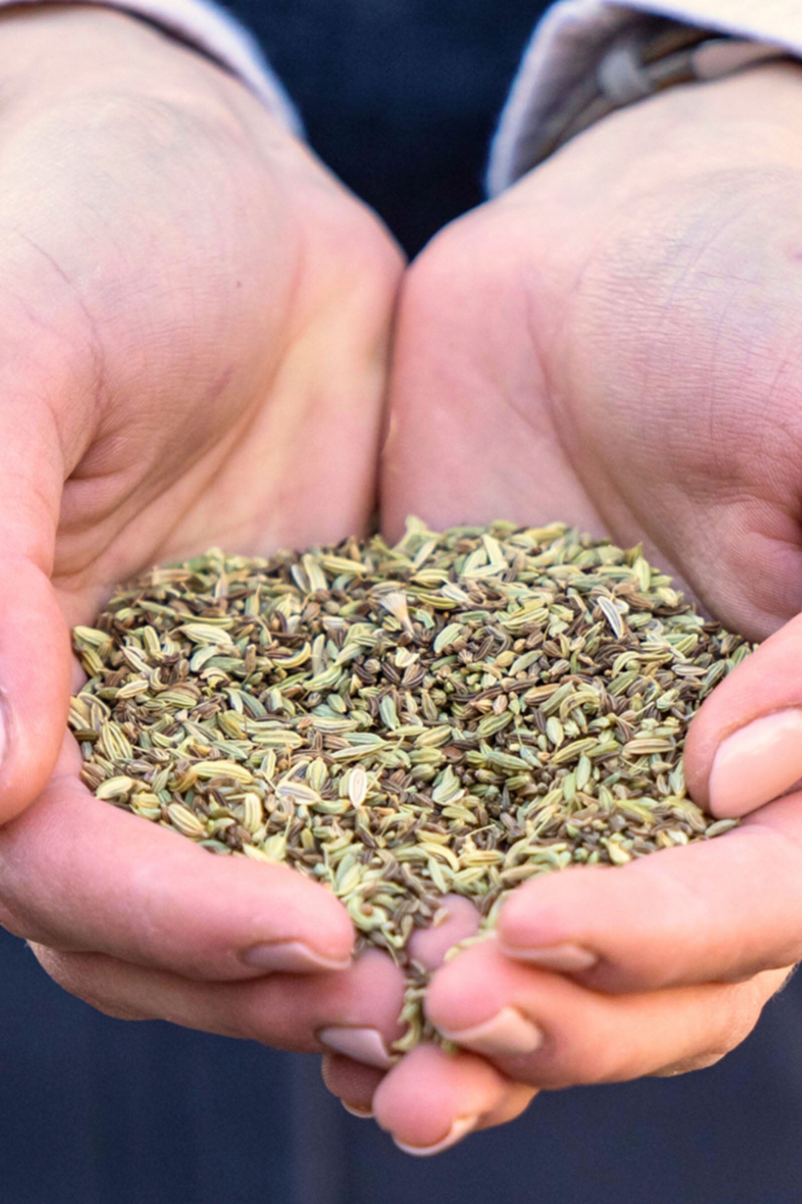 Stiefel Stomach herbs, 1kg Horse Feed & Nutrition