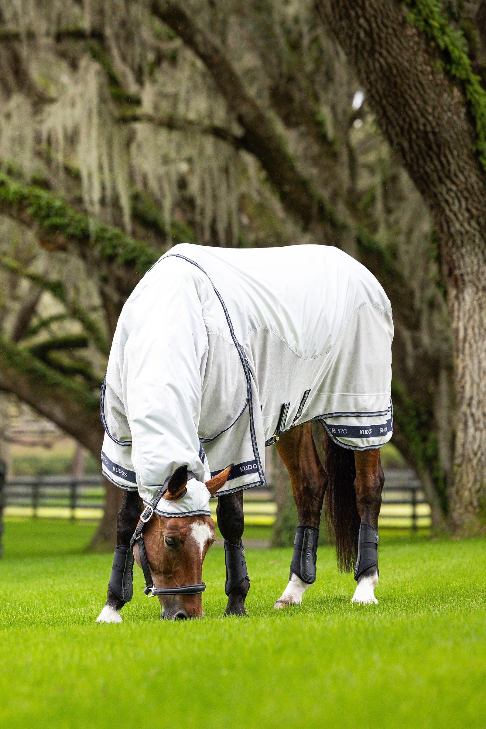 LeMieux Kudos Shower Pro Waterproof Fly Rug Horse Rugs