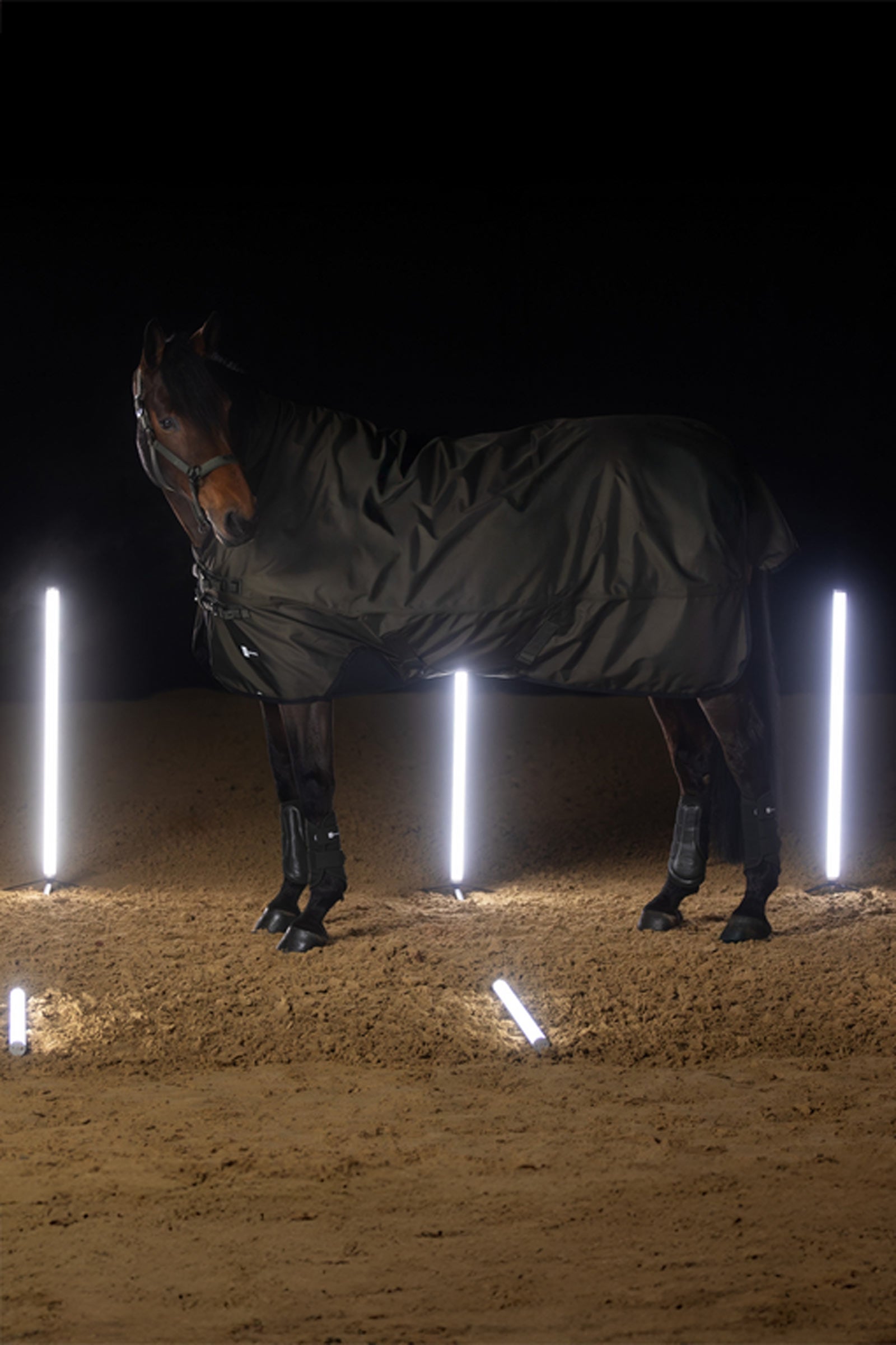 Eskadron Dynamics AW25 Beta Turnout Rug, 150 g Horse Rugs