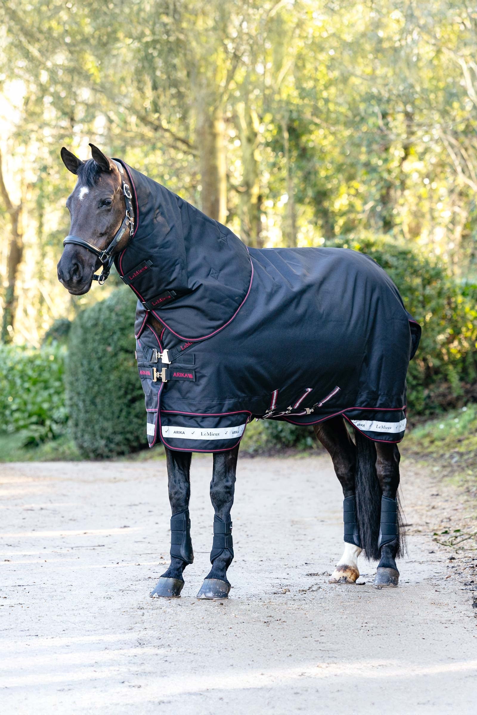 LeMieux Arika Storm-Tek Weidedecke mit abnehmbarem Halsteil, 50 g Pferdedecken